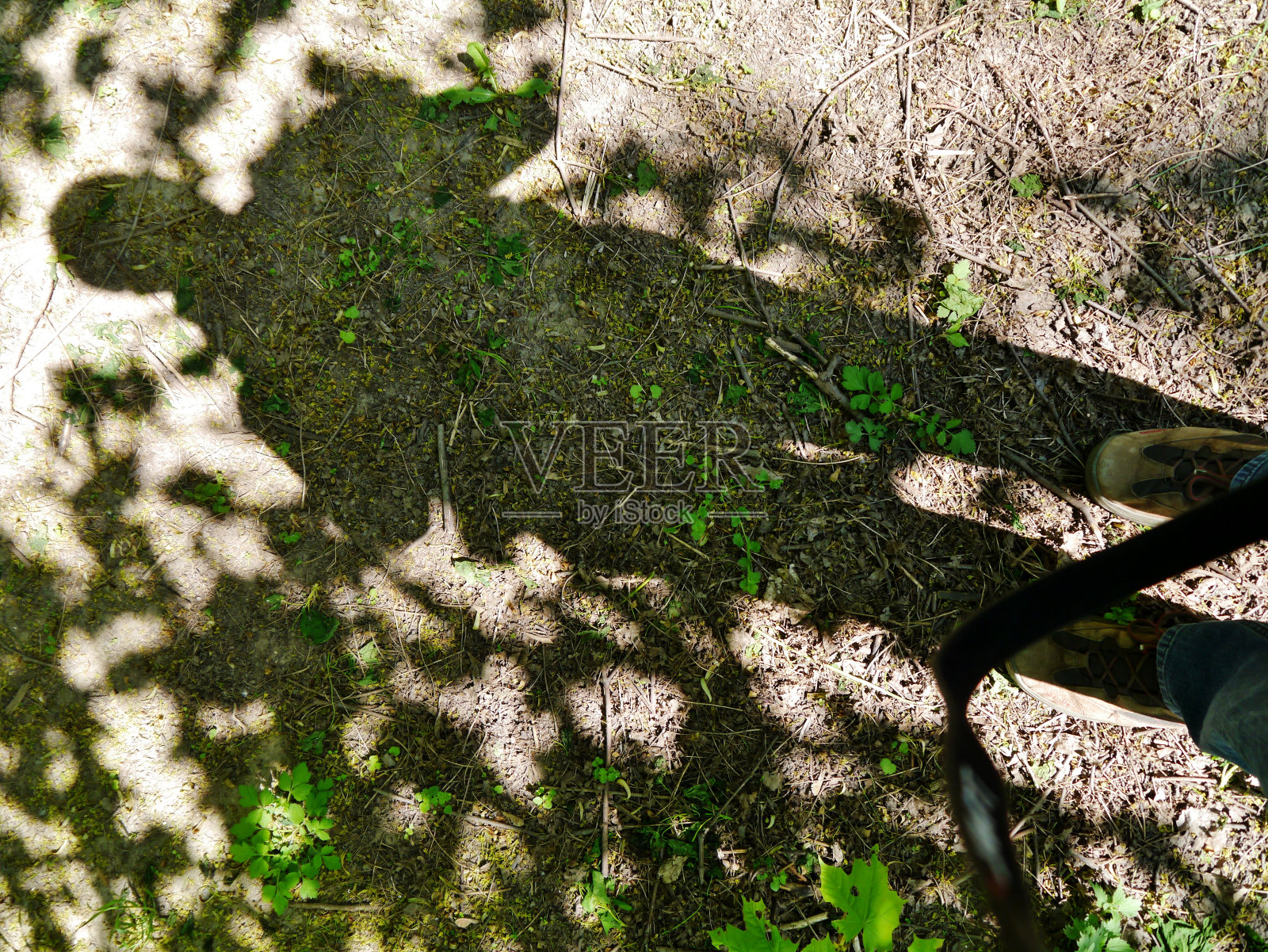 地板上有个人影照片摄影图片