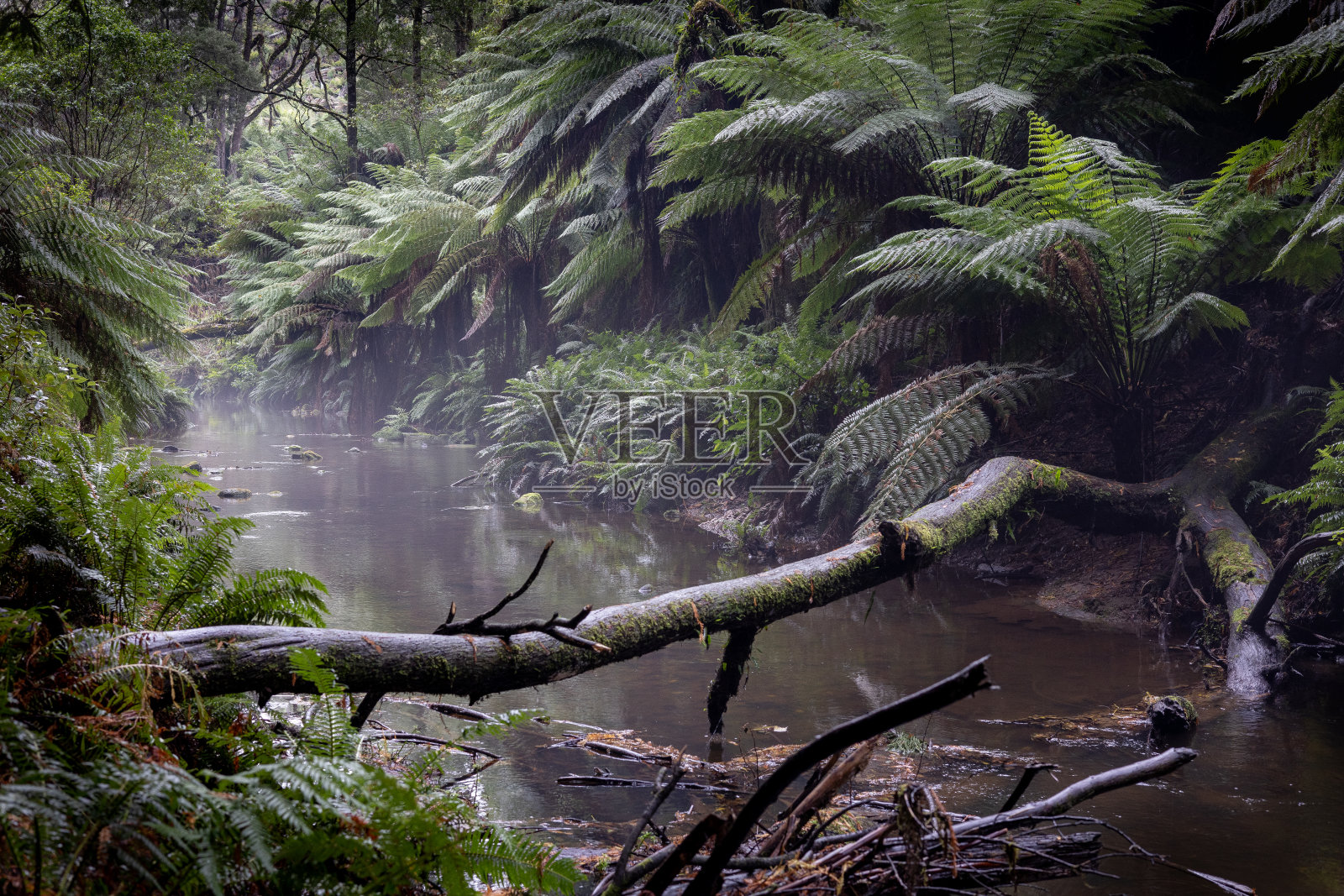 大奥特威国家公园照片摄影图片