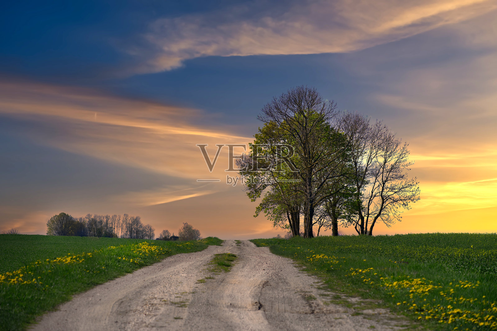 土路从前景一直延伸到远处照片摄影图片