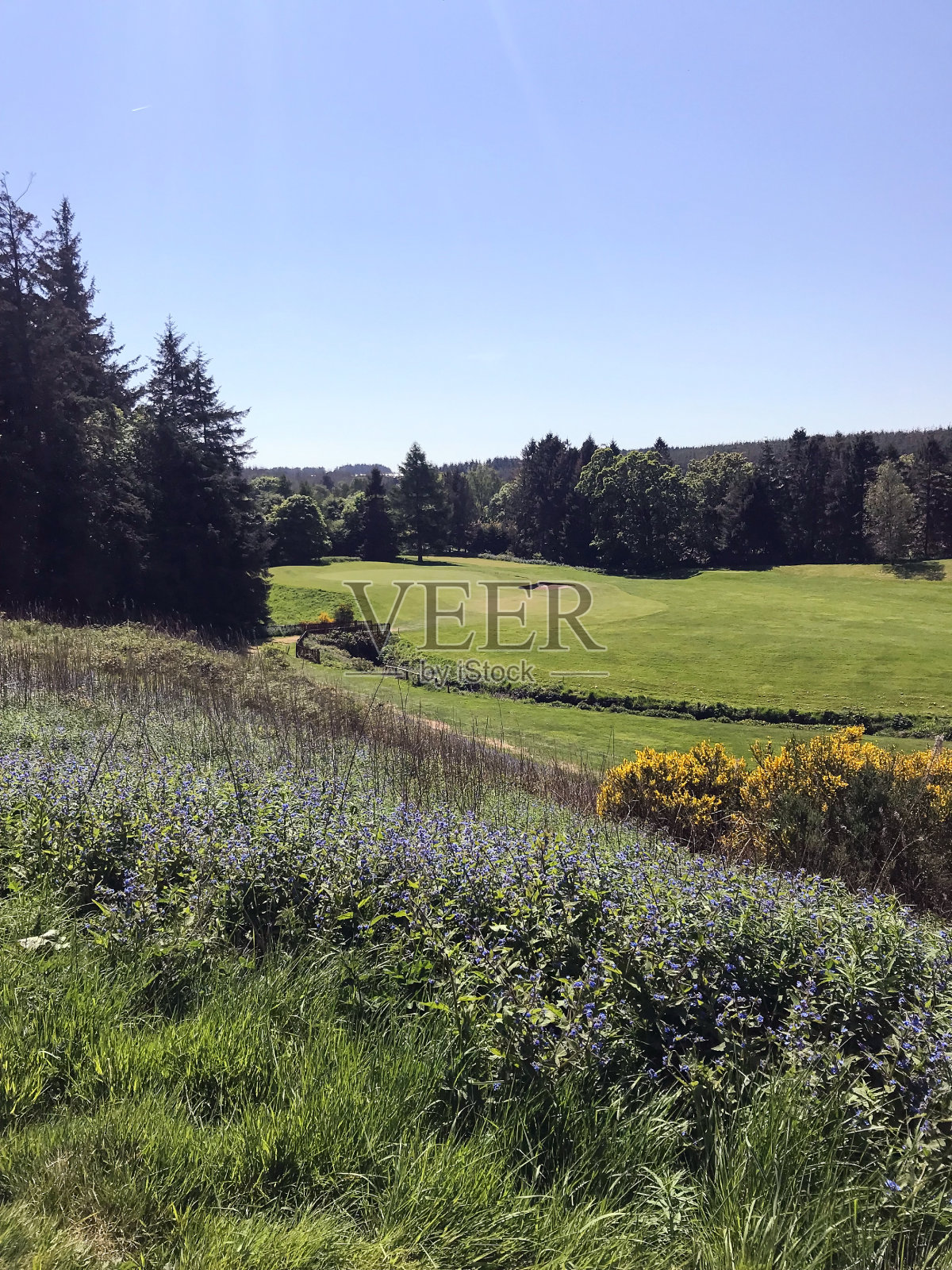 山坡上的草地上长着五颜六色的花。下面是山谷和公园的景色照片摄影图片