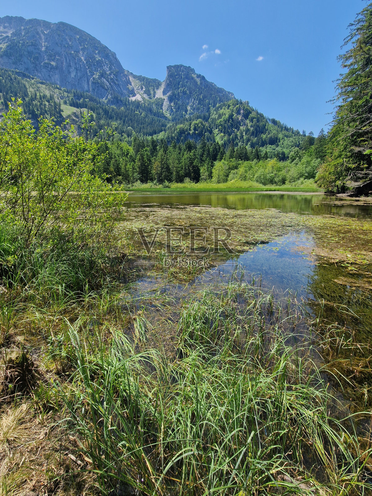 塔弗莱克克劳斯湖——美丽的大自然照片摄影图片