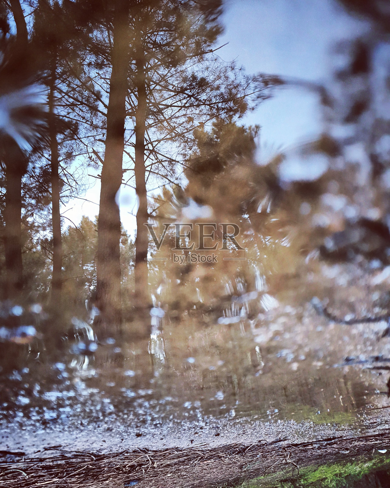 对自然的反思照片摄影图片