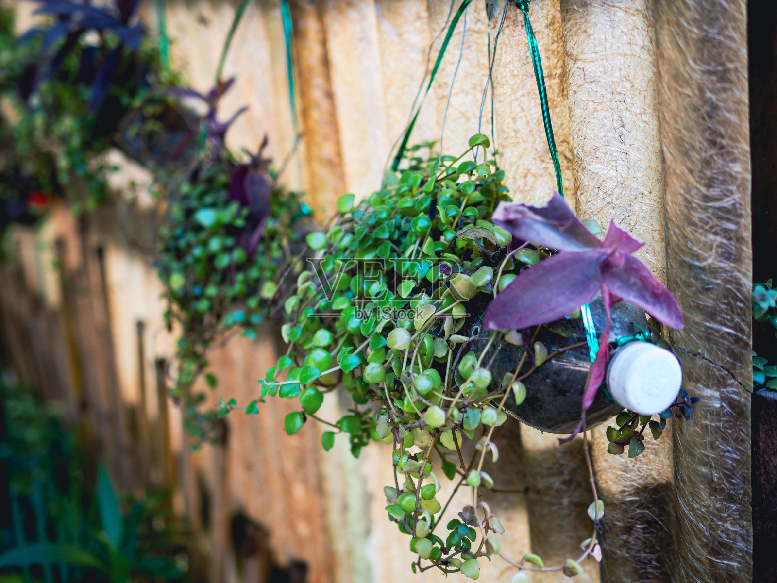 用回收的塑料瓶制作植物支架的创意。这些可以用来装饰你的花园或家，同时减少包装浪费。照片摄影图片