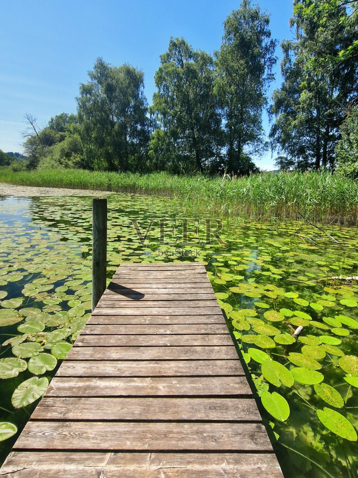 在腾陵附近的塔青湖照片摄影图片