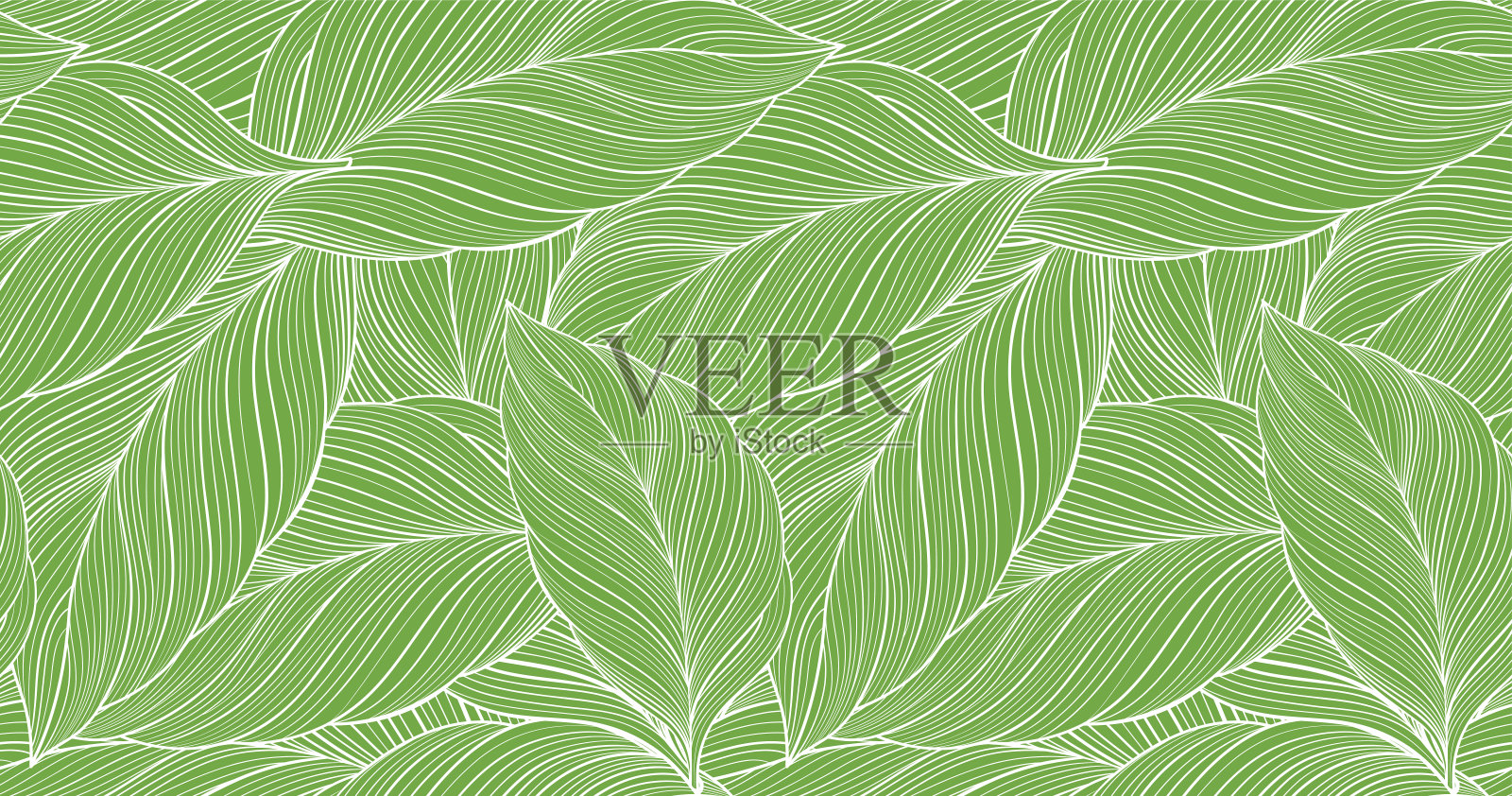 自然图案，抽象，曲线形状，叶绿色背景插画图片素材