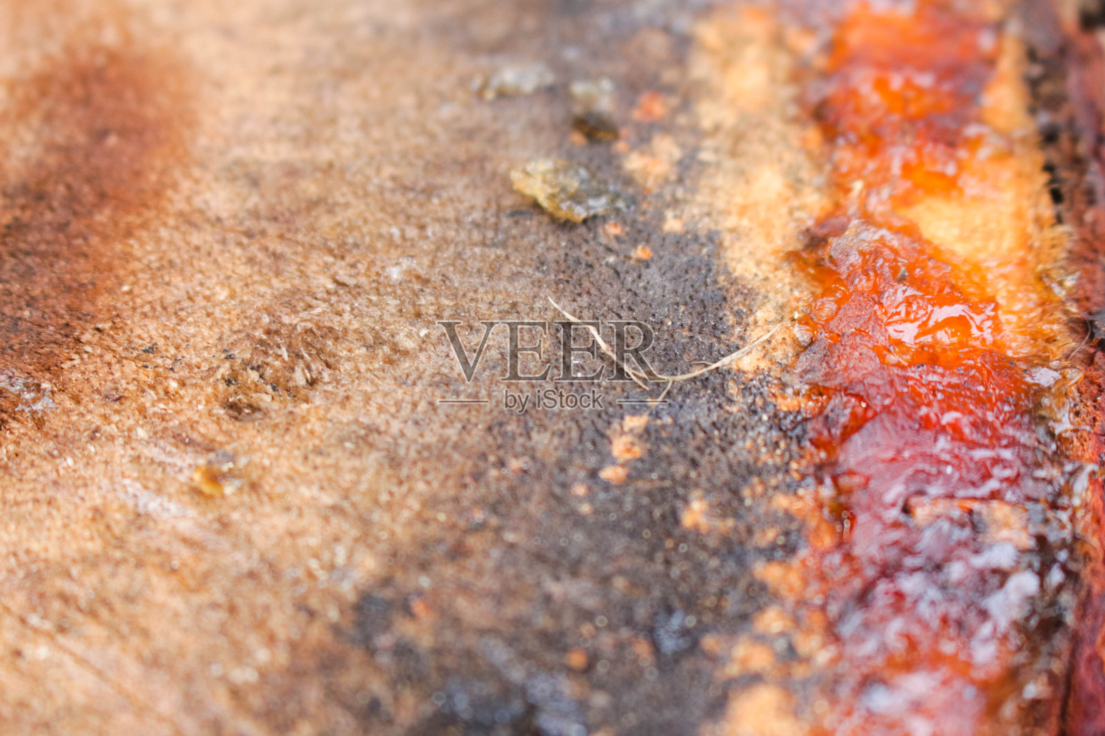 树液照片摄影图片