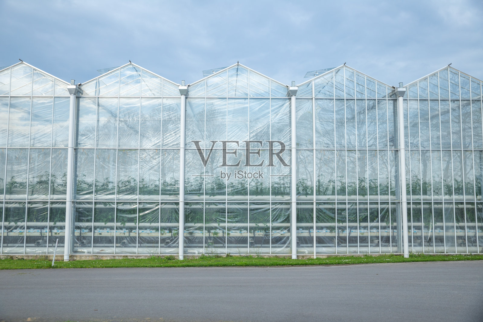 蔬菜大棚的现代外观照片摄影图片