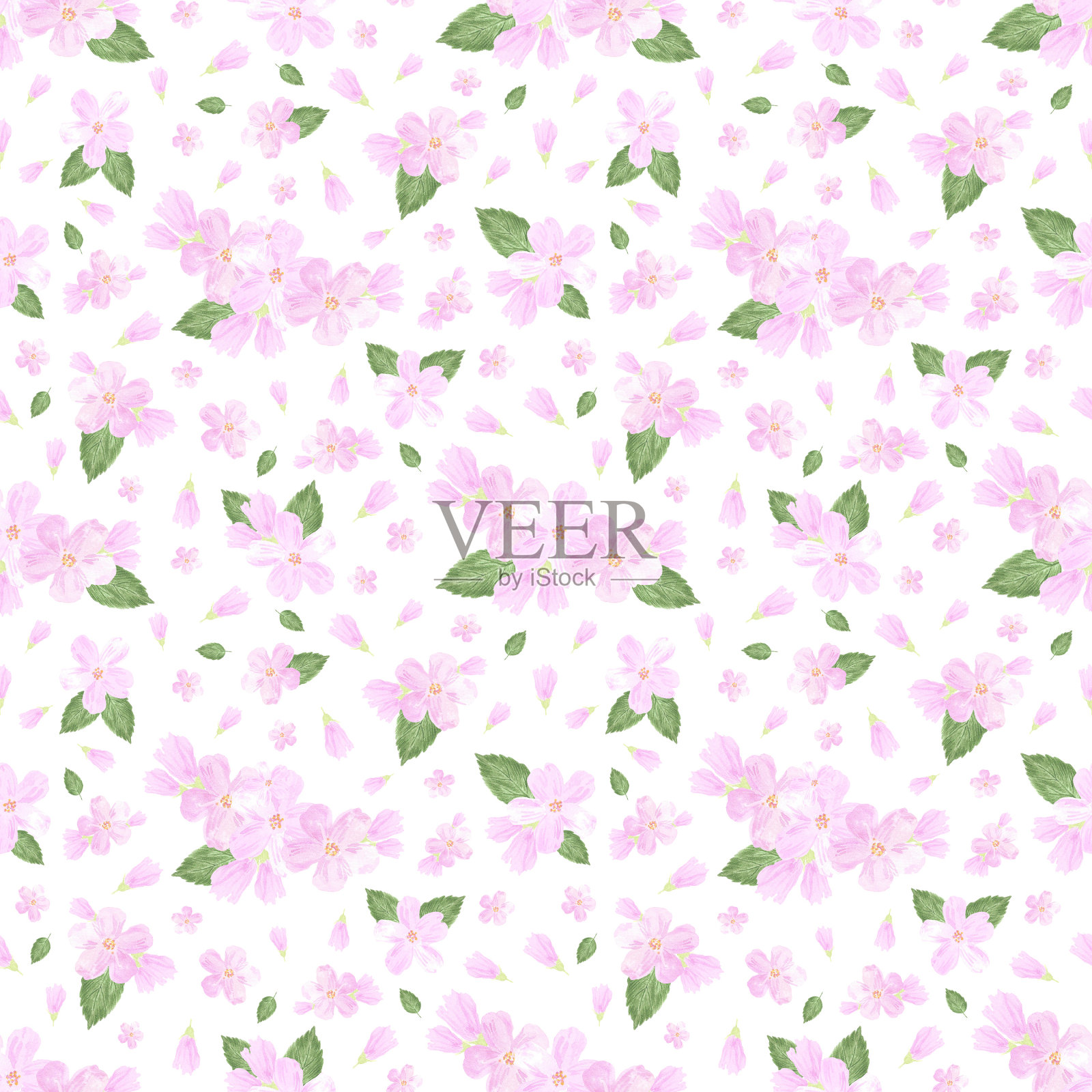 手绘水彩粉红色樱花无缝图案隔离在白色背景。可用于纺织、织物等印花产品。插画图片素材