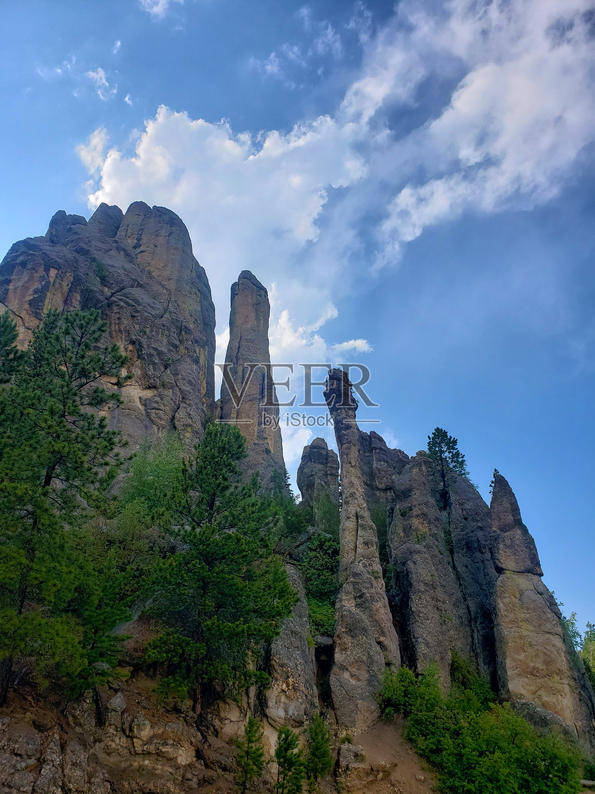 南达科他州夏季的针叶公路上的景色照片摄影图片