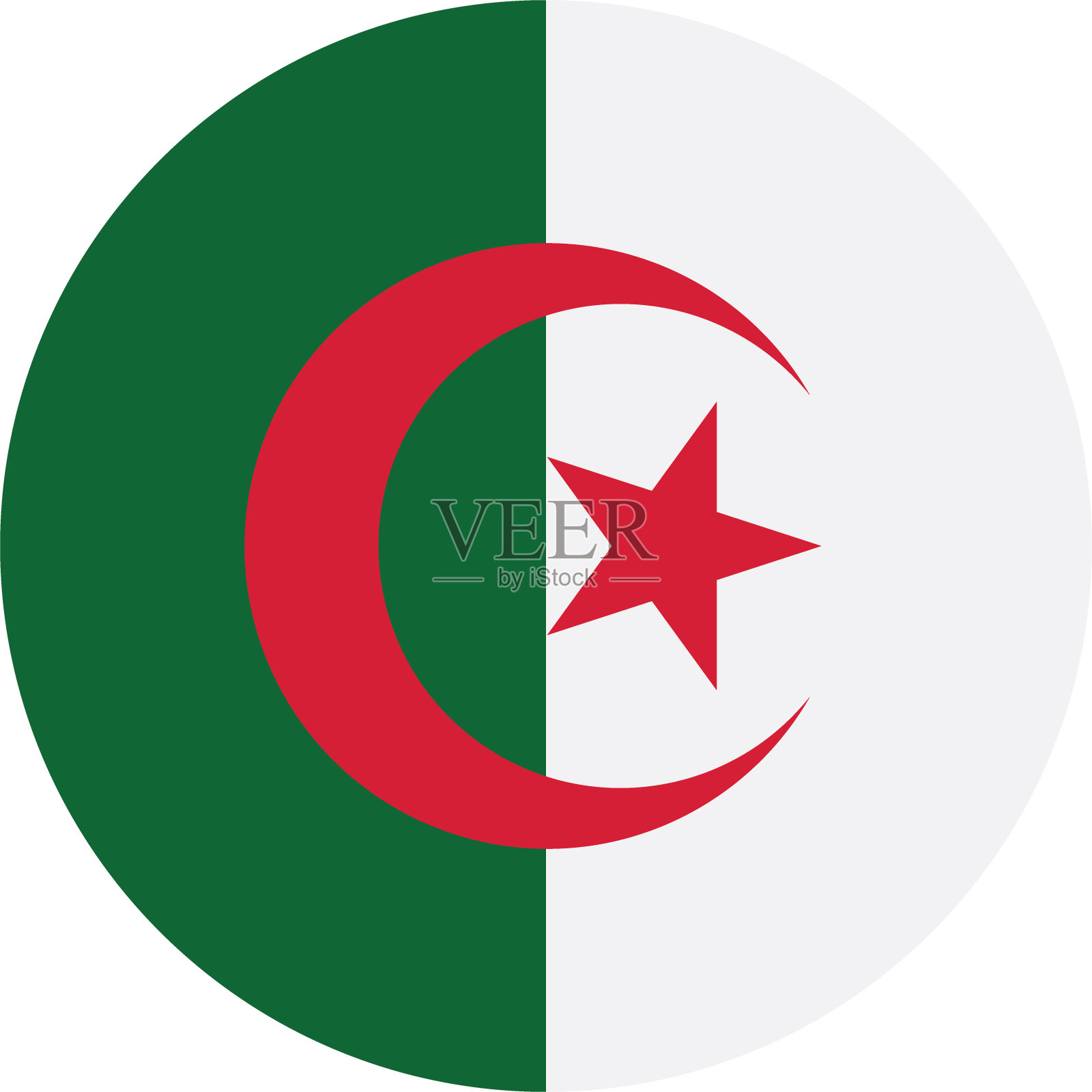 阿尔及利亚国旗。按钮标志图标。标准颜色。圆形图标标志。电脑插图。数码插图。矢量插图。插画图片素材