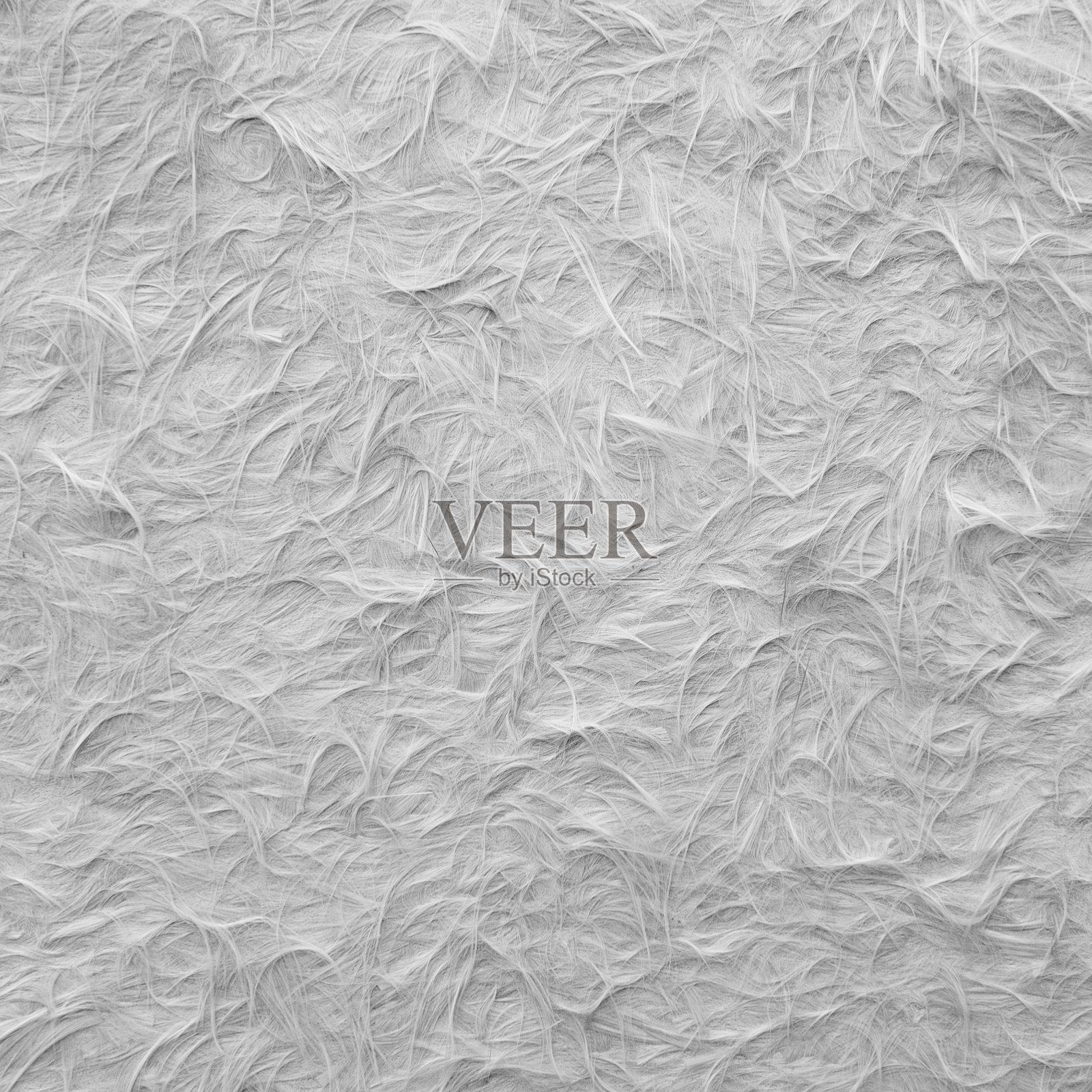 白色羽毛背景。完美的抽象纹理图案。照片摄影图片