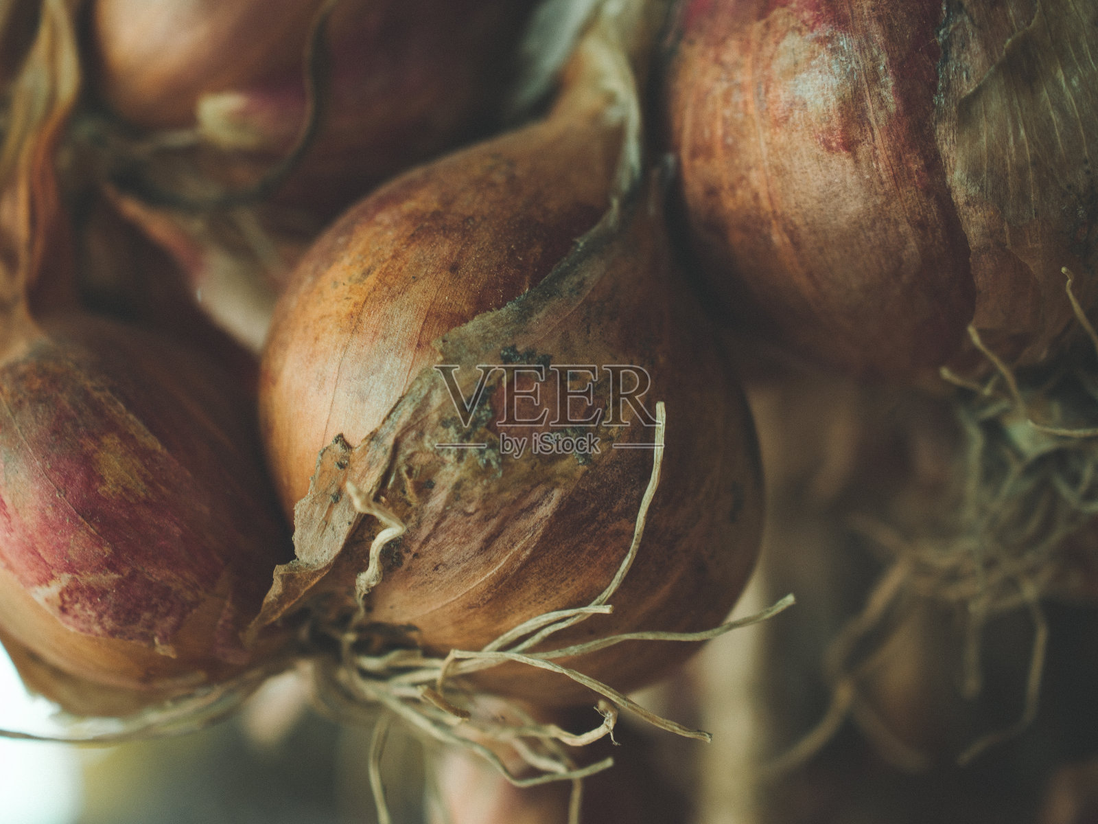 泰国的洋葱照片摄影图片