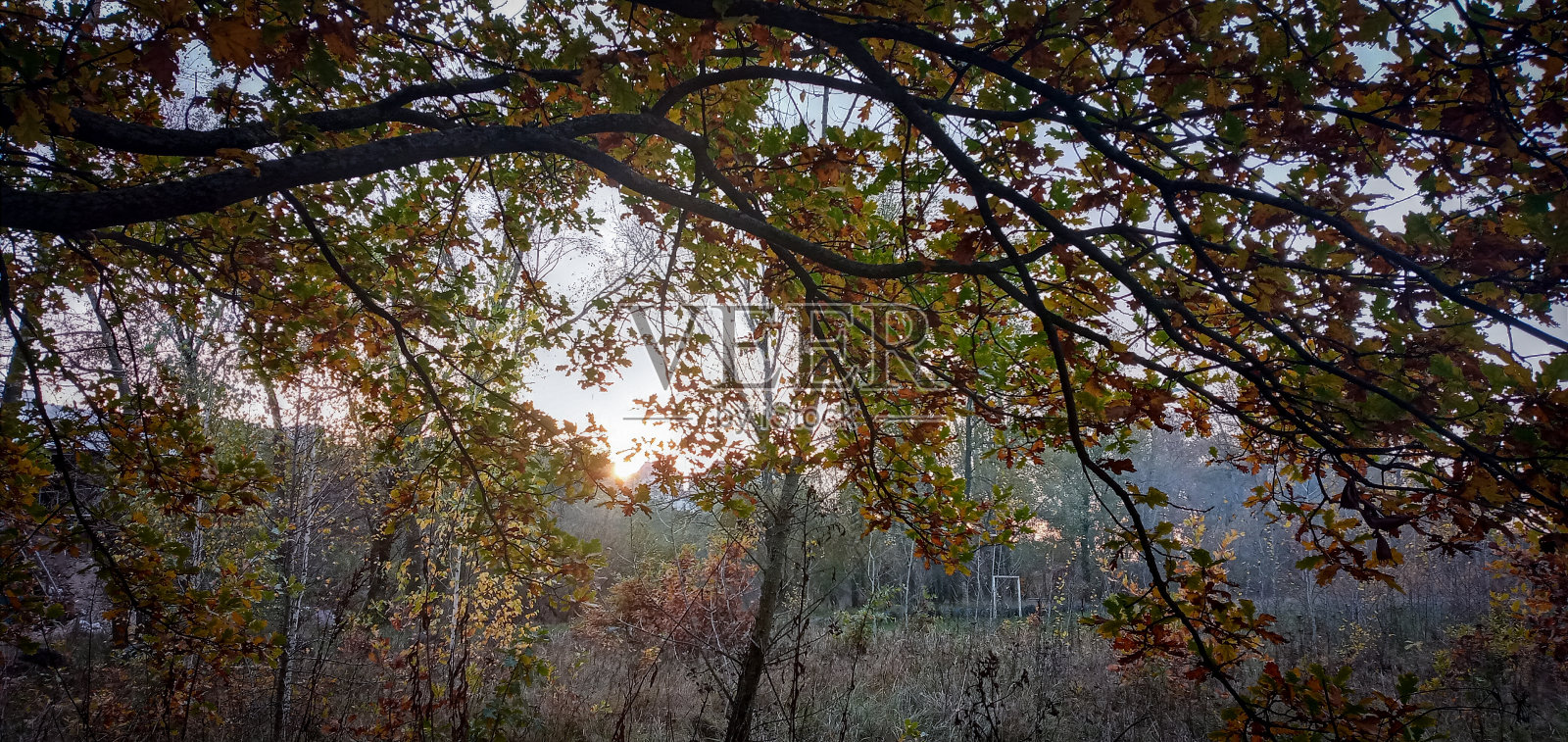 乌克兰的风景照片摄影图片