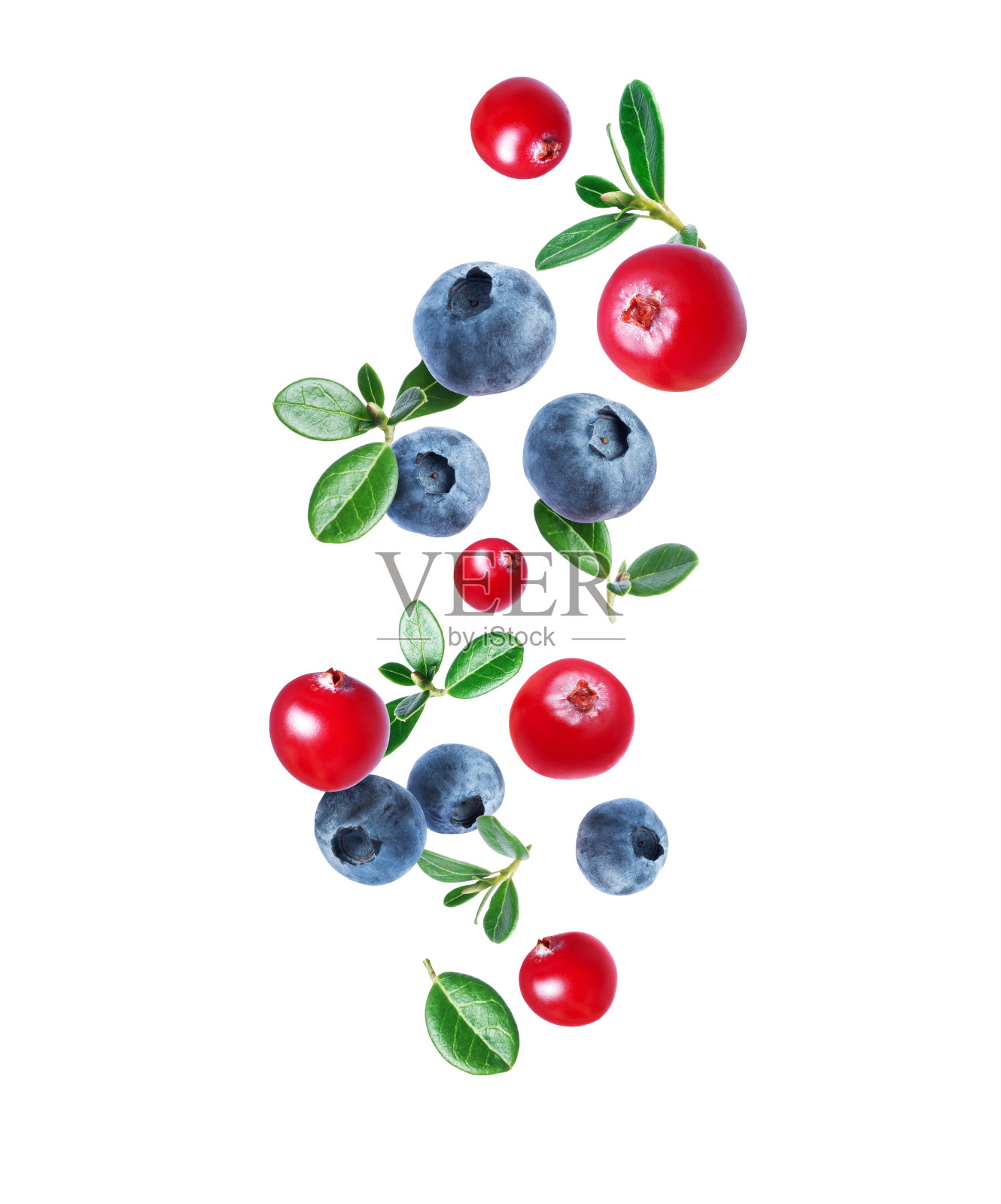一群蓝莓和蔓越莓，叶子靠近空气，孤立在白色的背景上照片摄影图片