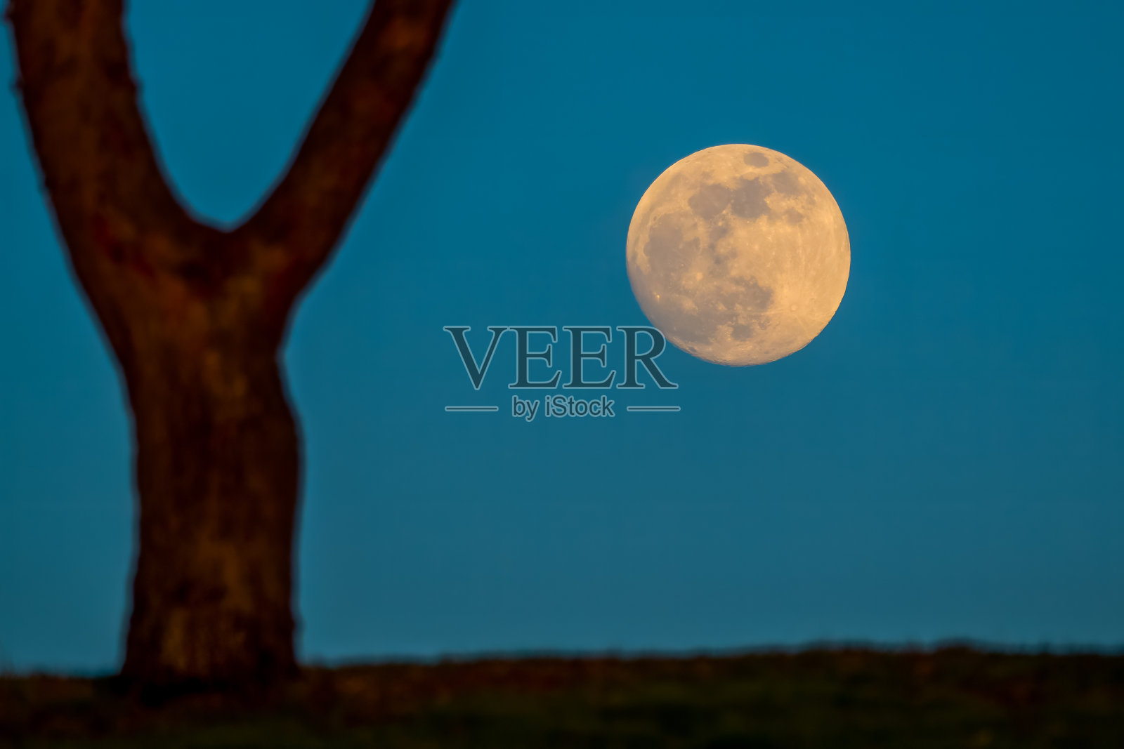 明亮的月亮在傍晚的蓝天上照片摄影图片