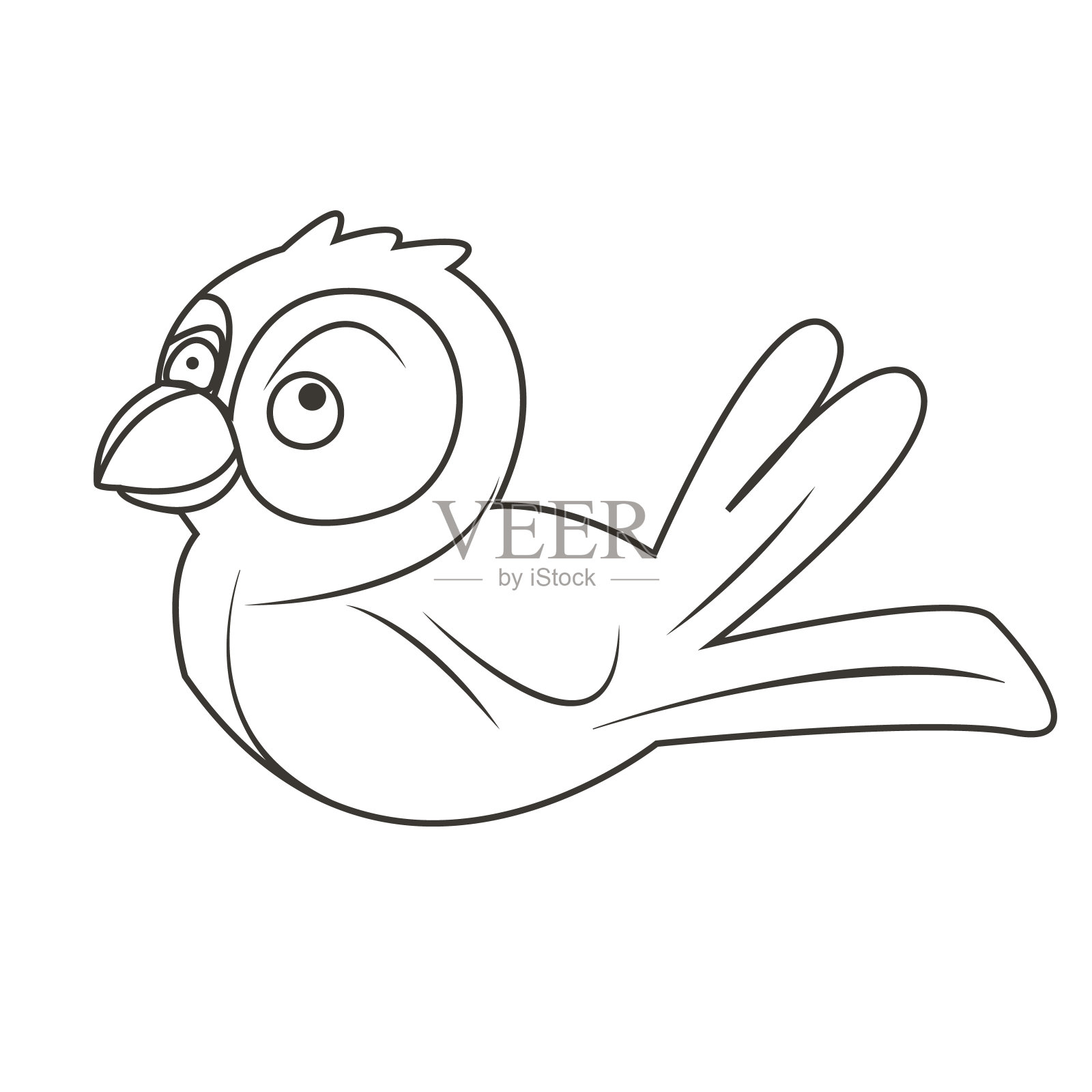 鸟线艺术插画图片素材