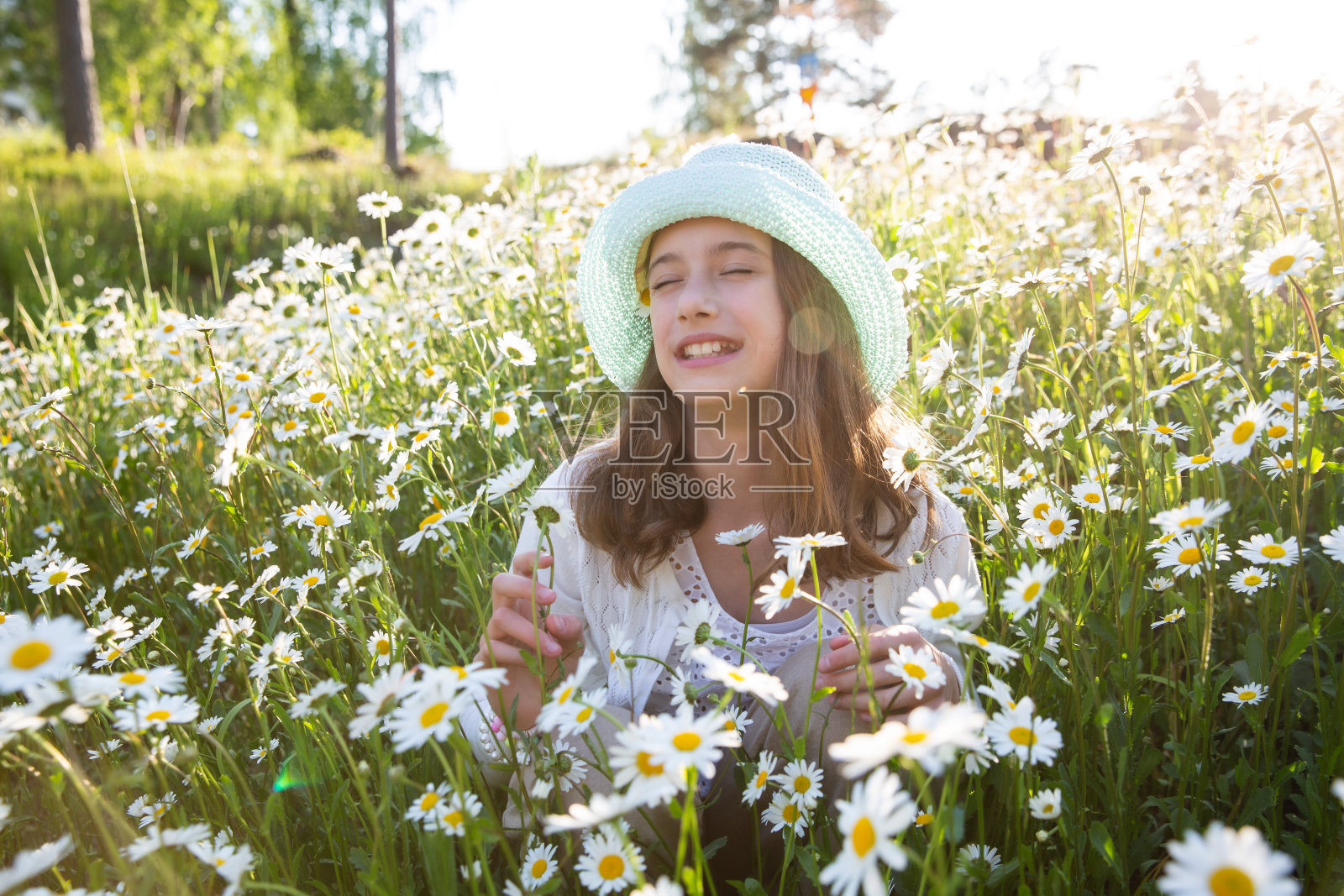 女孩坐在长满野花的草地上。背景是盛开的雏菊。夏日阳光明媚，阳光普照。暑假概念照片摄影图片