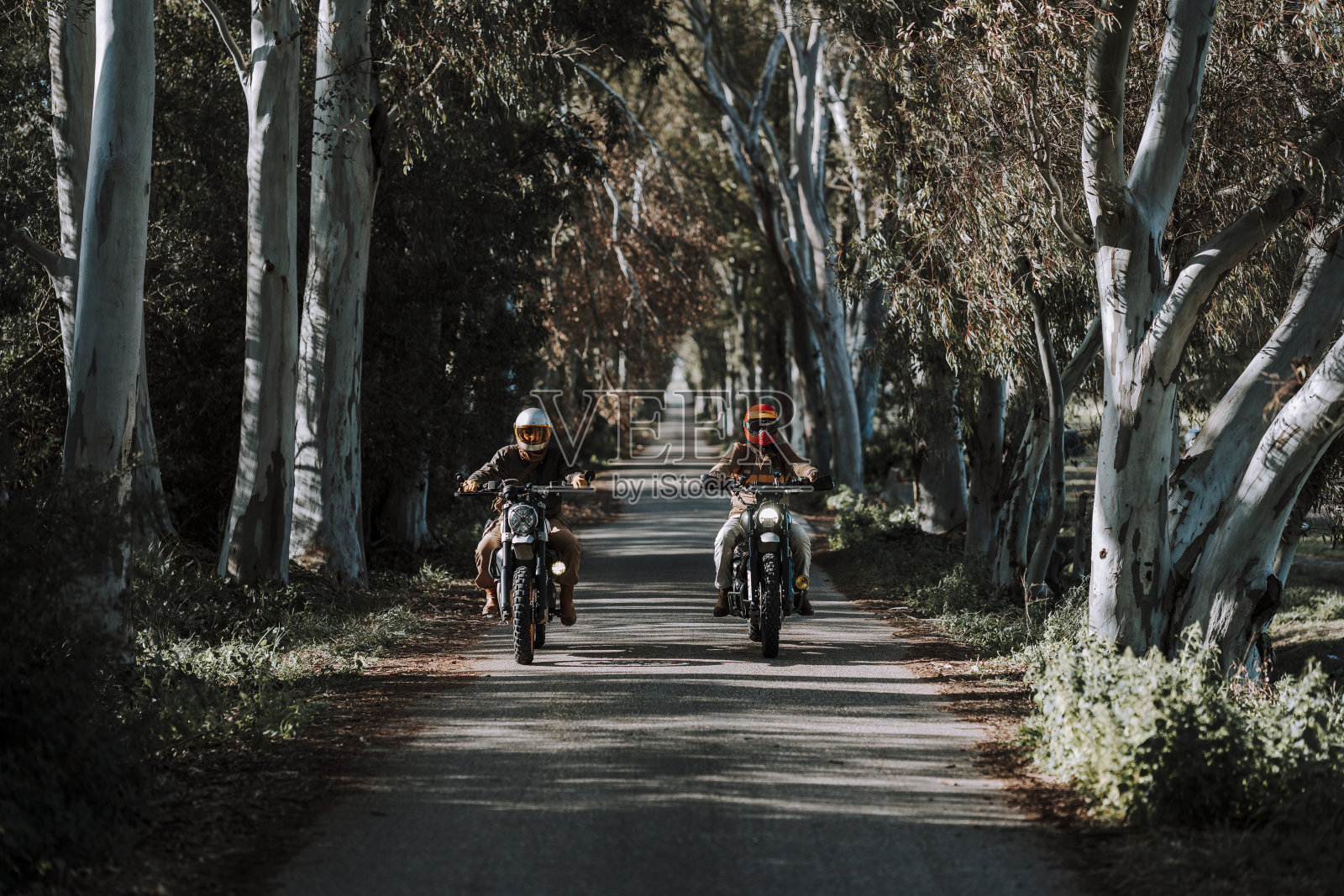 三个人骑着摩托车在树间的街道上照片摄影图片