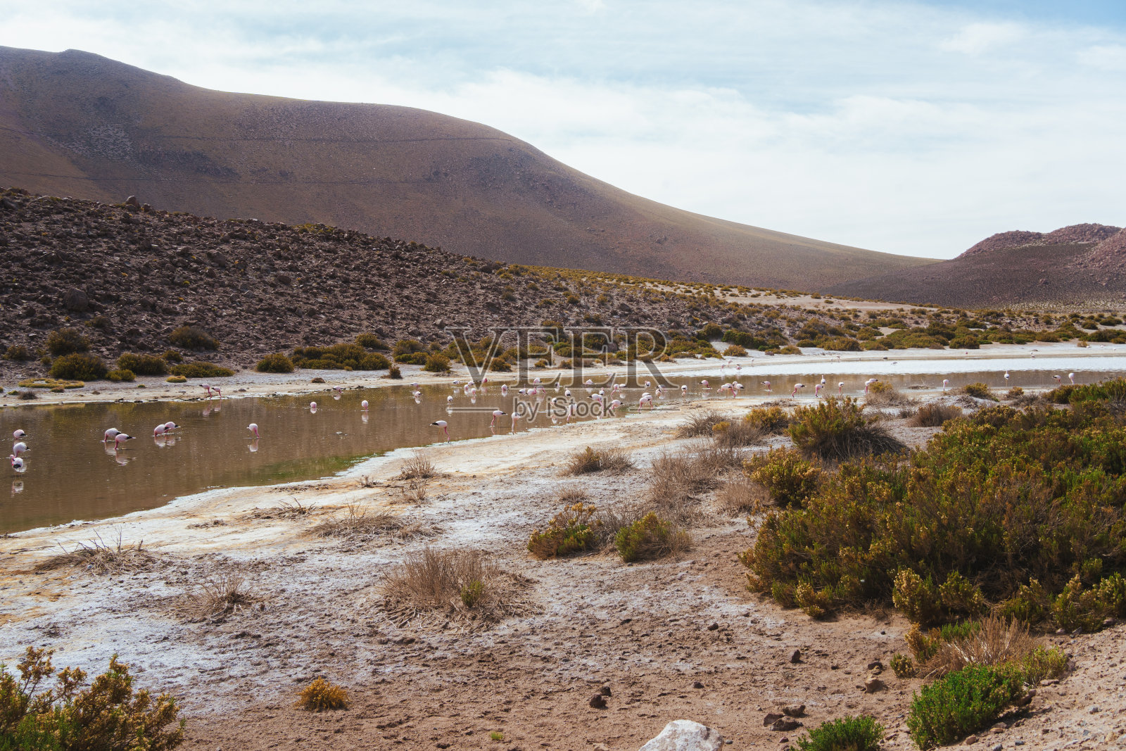 在智利阿塔卡马沙漠拍摄的火烈鸟泻湖景观照片摄影图片