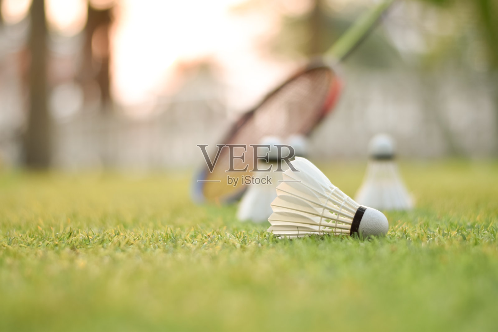 羽毛球运动照片摄影图片