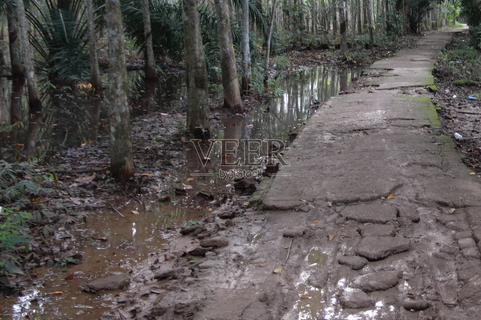 这条路有裂缝照片摄影图片