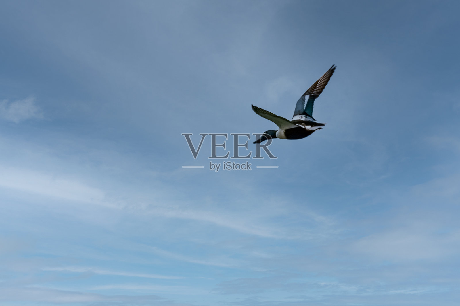 北雪夫勒航班照片摄影图片