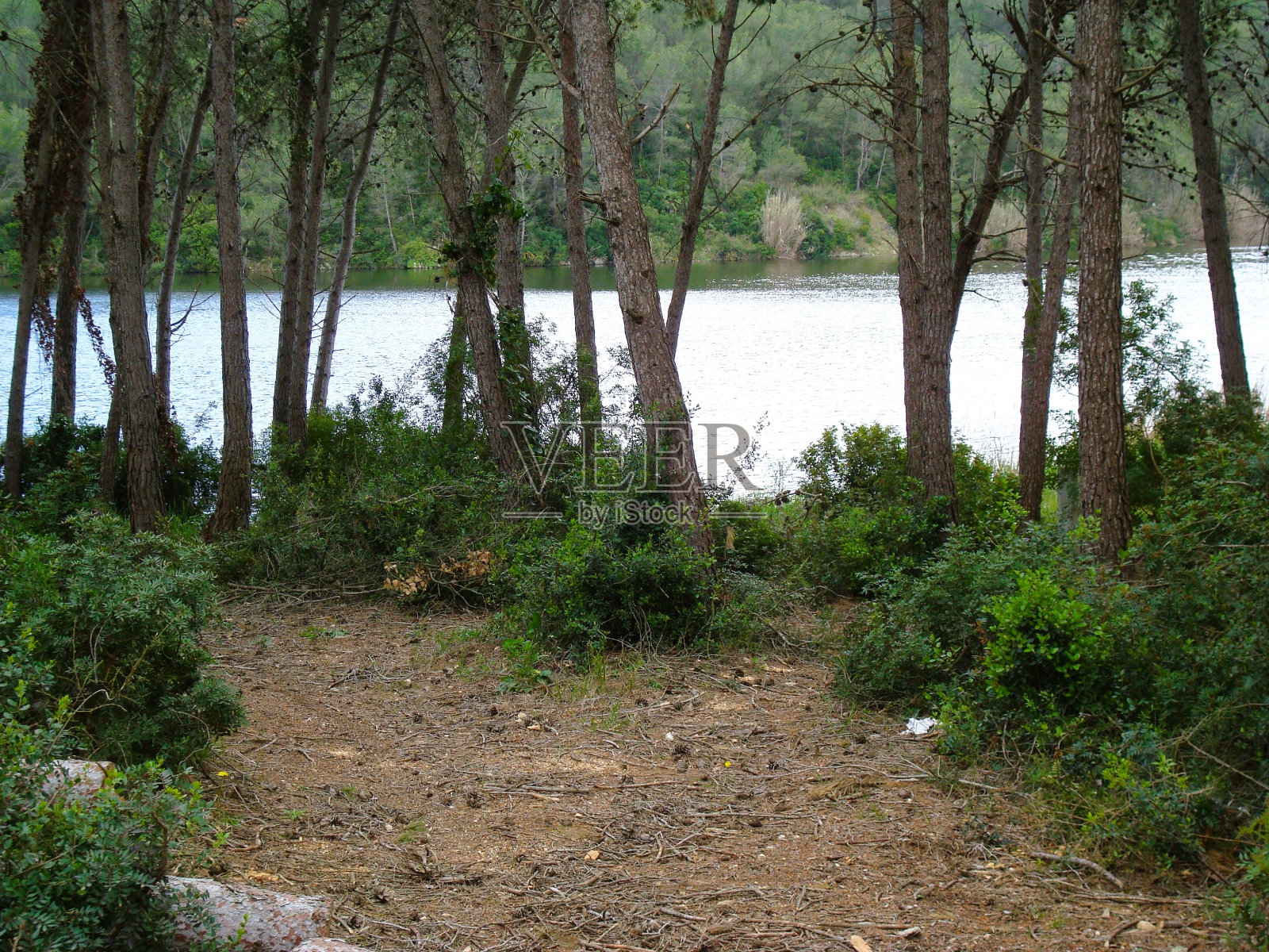 通往一条河的路照片摄影图片