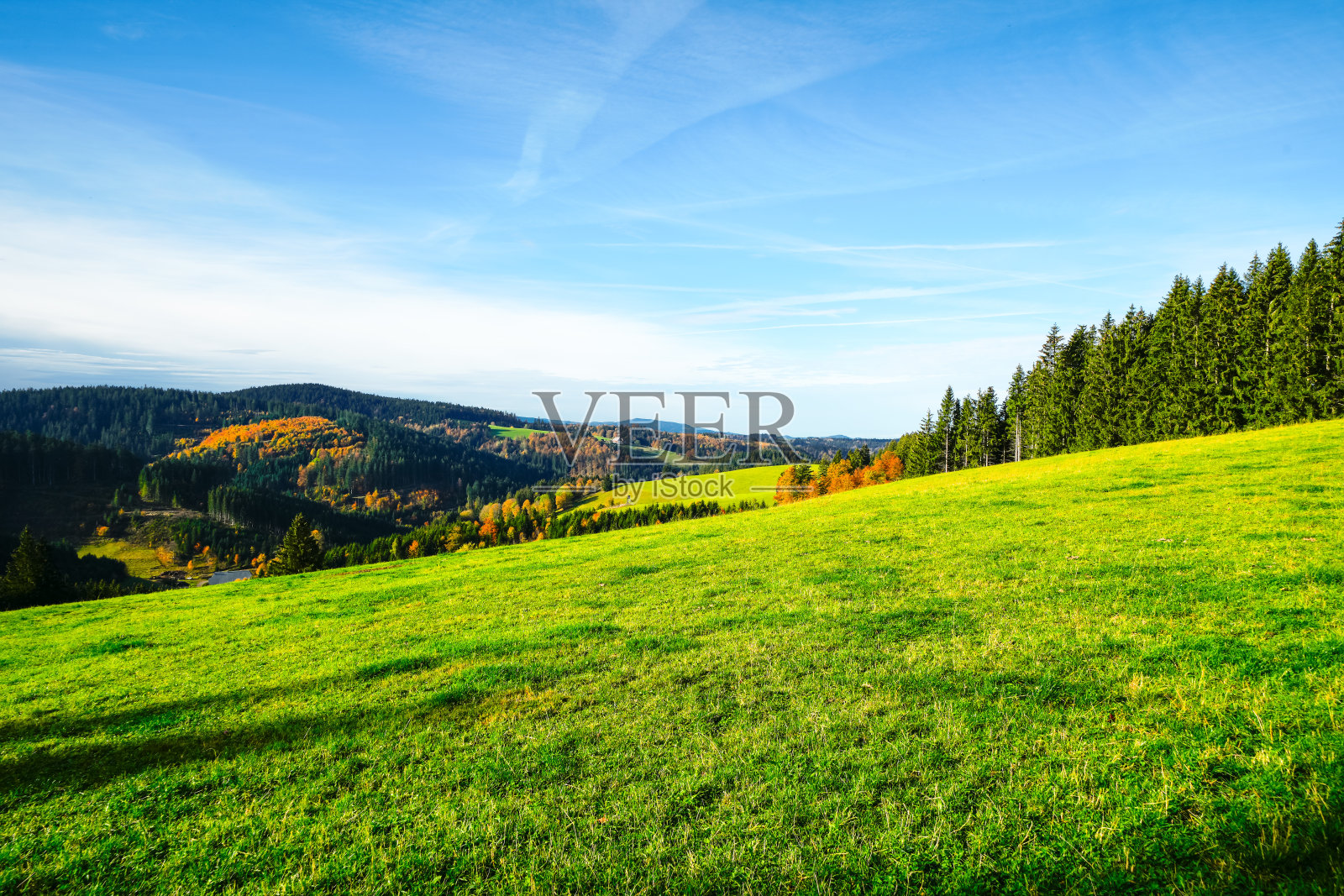 黑森林富特旺根附近的秋季景观。有森林和丘陵的大自然。照片摄影图片