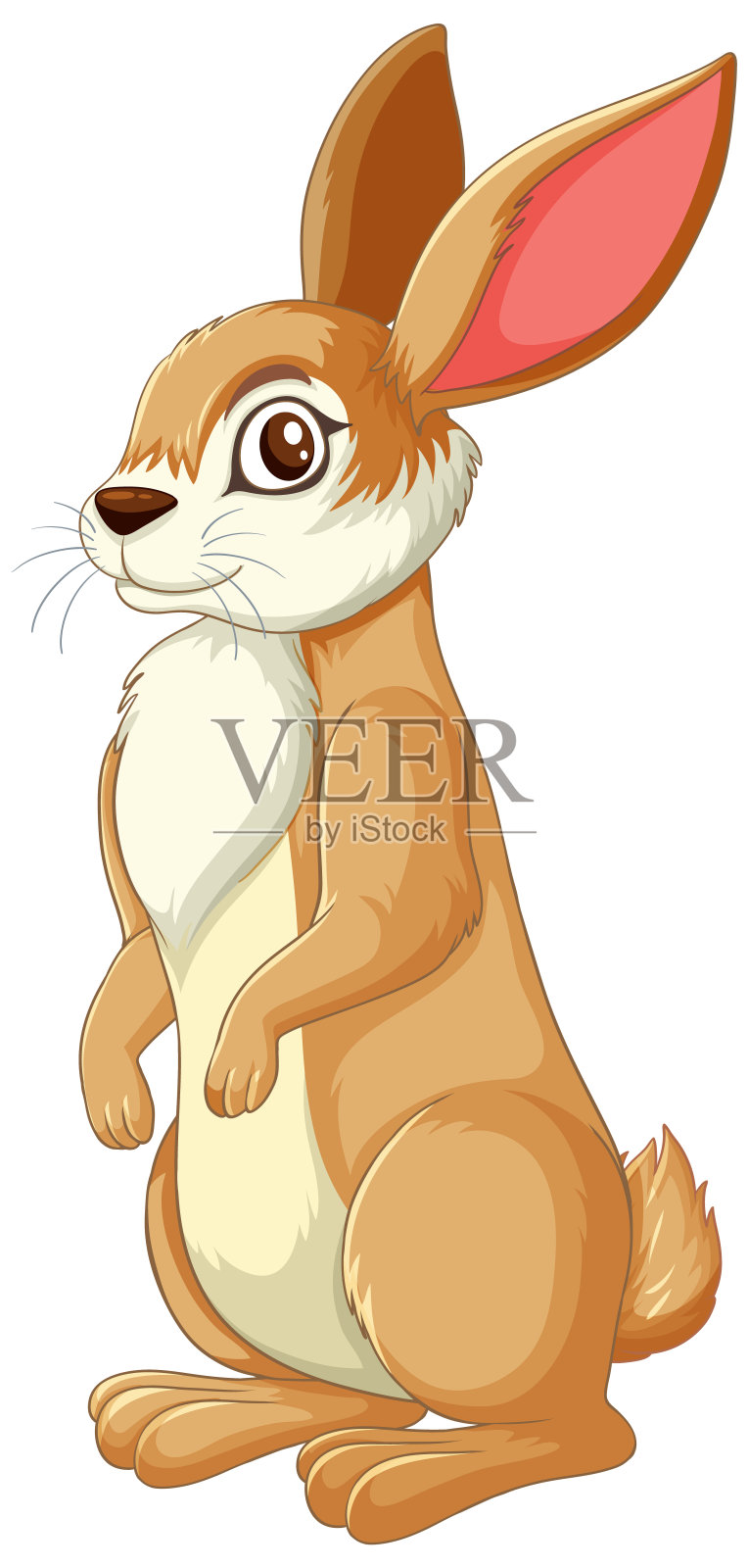 矢量插图一个可爱的站立的兔子插画图片素材