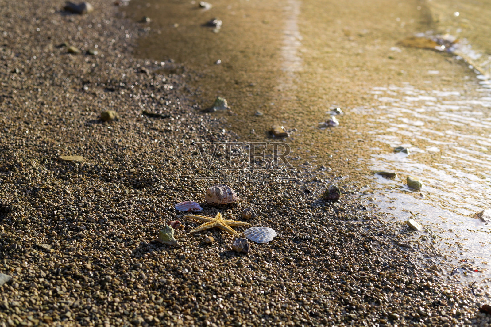 漫步在罗维尼的荒野海滩上照片摄影图片