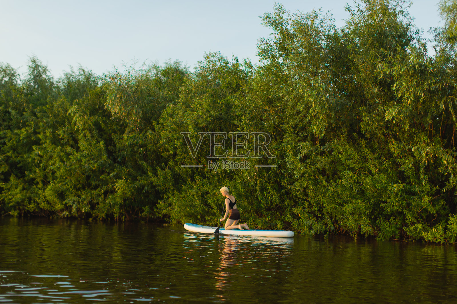金发女人坐在河边的树板上。照片摄影图片