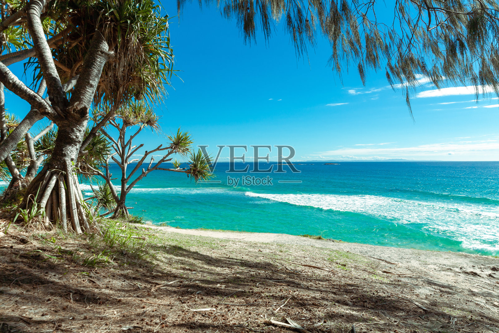 幸福照片摄影图片