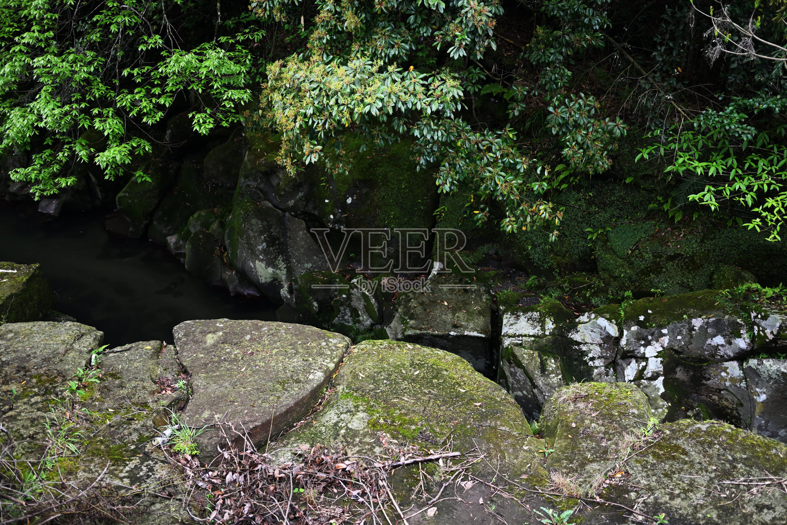 悬崖间的河流照片摄影图片