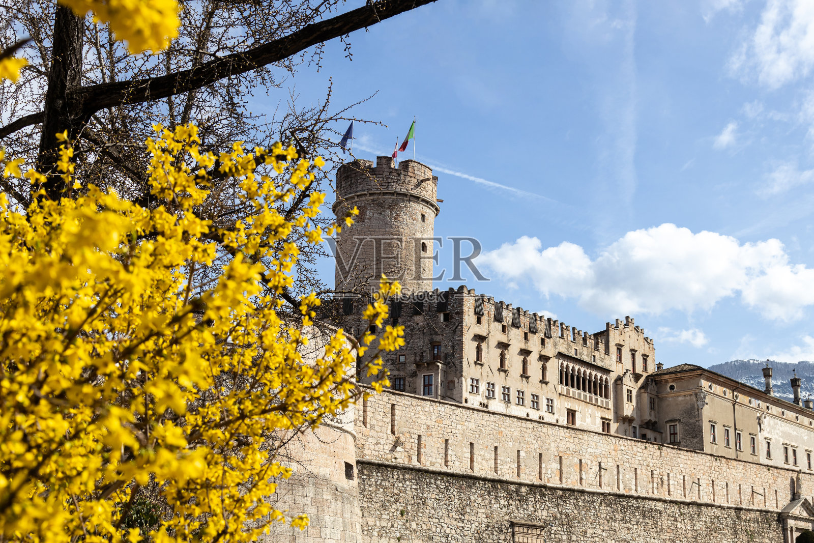 在一个美丽的春日里，布翁consiglio城堡(Castello del buonconslio)。花朵在前景;特兰托照片摄影图片