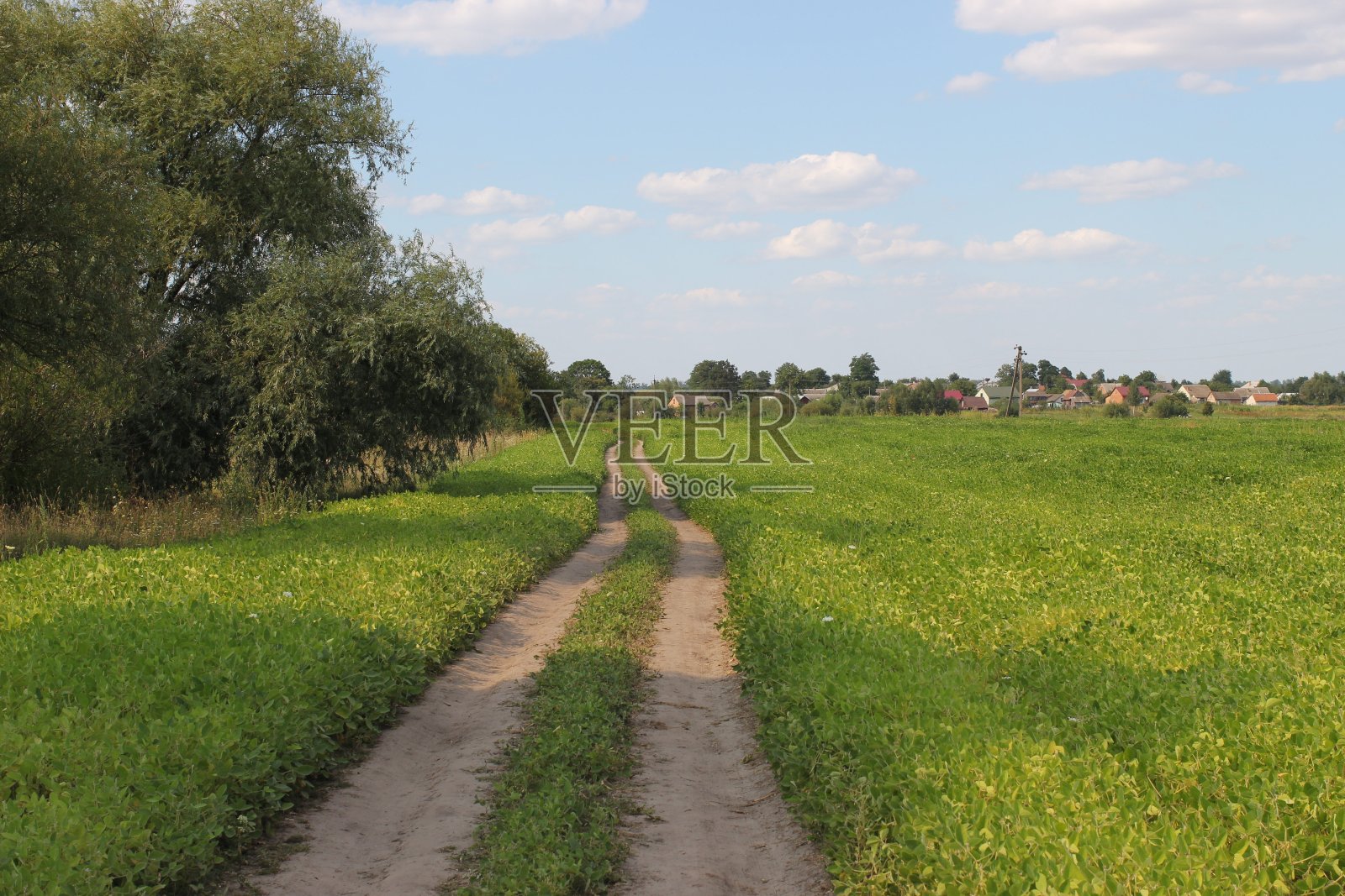 绿色田野间宁静的乡间小路照片摄影图片