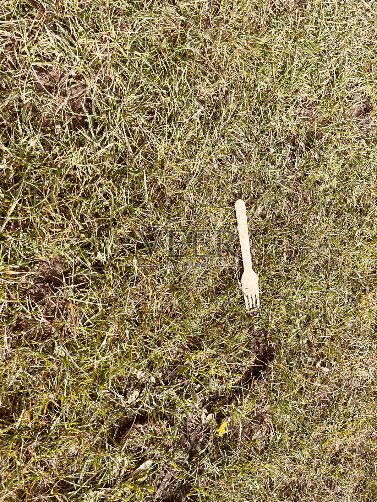 吃植物照片摄影图片