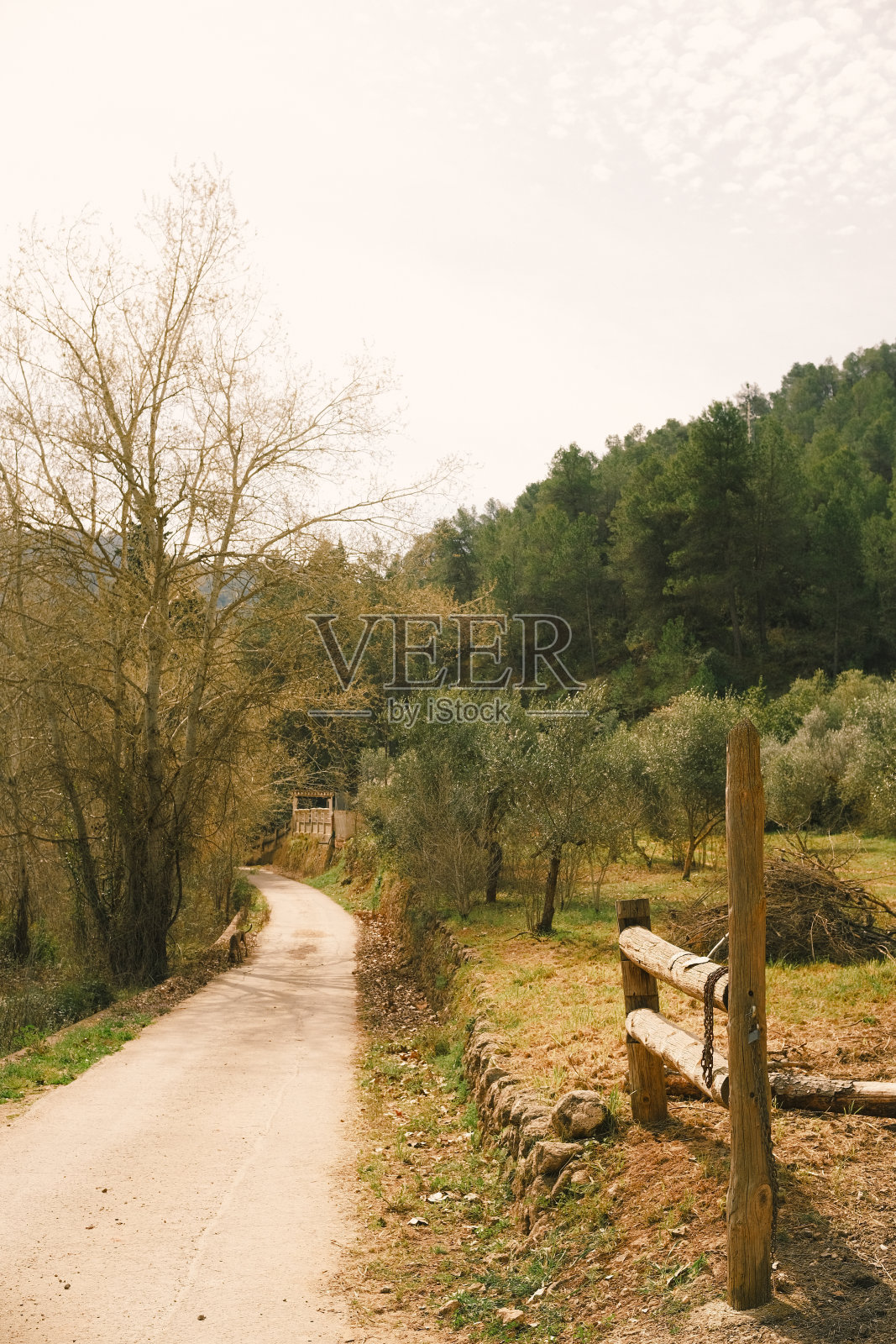 山间铺的路，两旁有树。照片摄影图片
