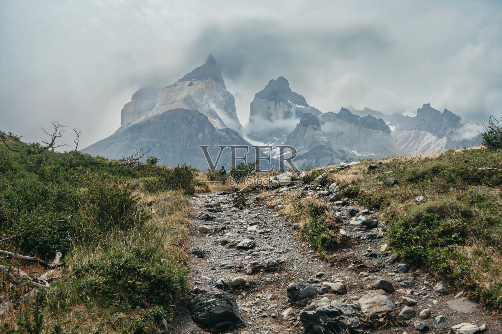 智利巴塔哥尼亚托雷斯德尔潘恩国家公园的小径照片摄影图片
