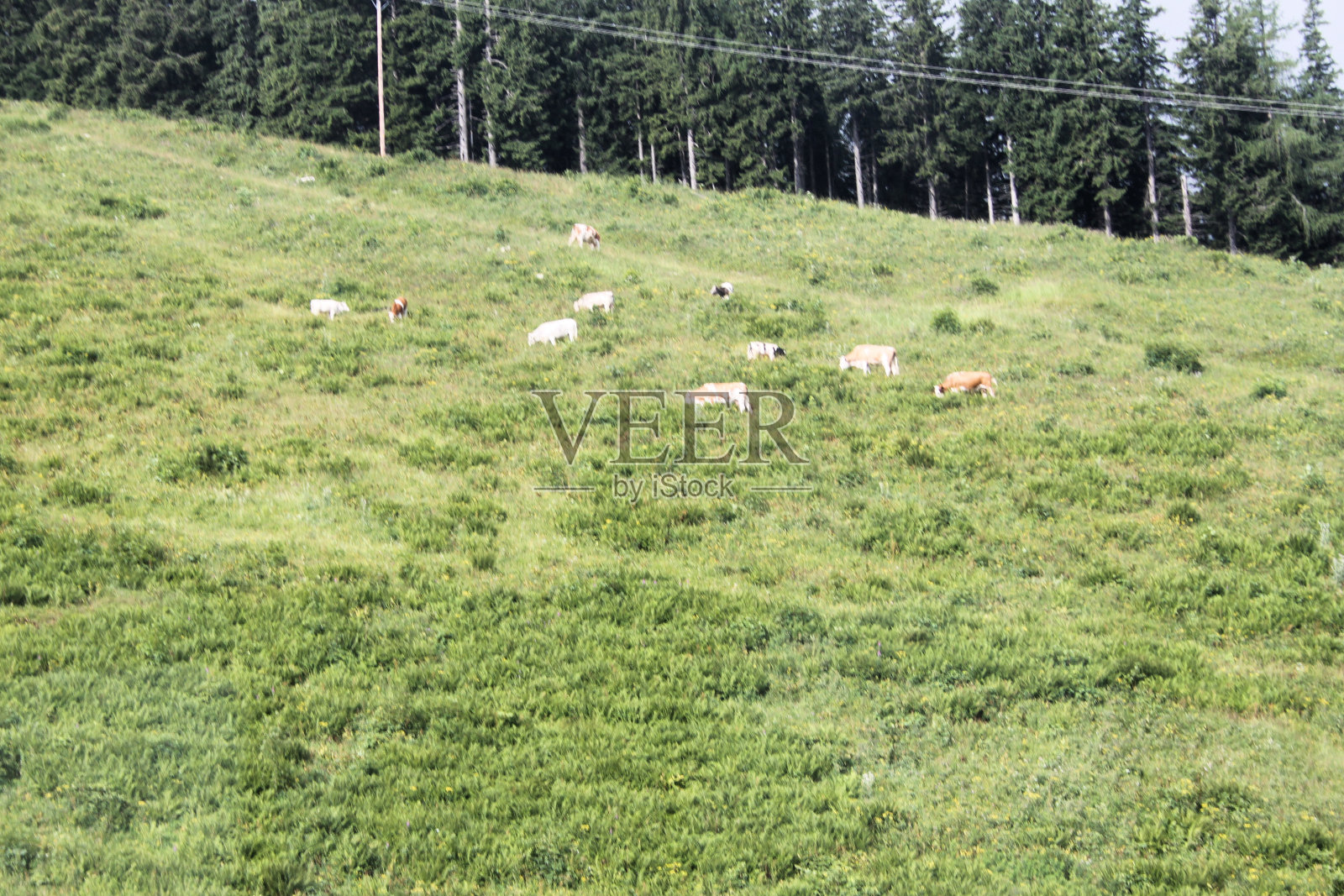 奥地利乡村风光照片摄影图片