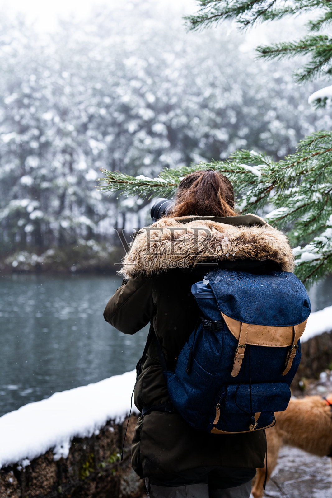 不认识的年轻女子用相机拍摄白雪皑皑的松树林湖，惊讶不已。照片摄影图片