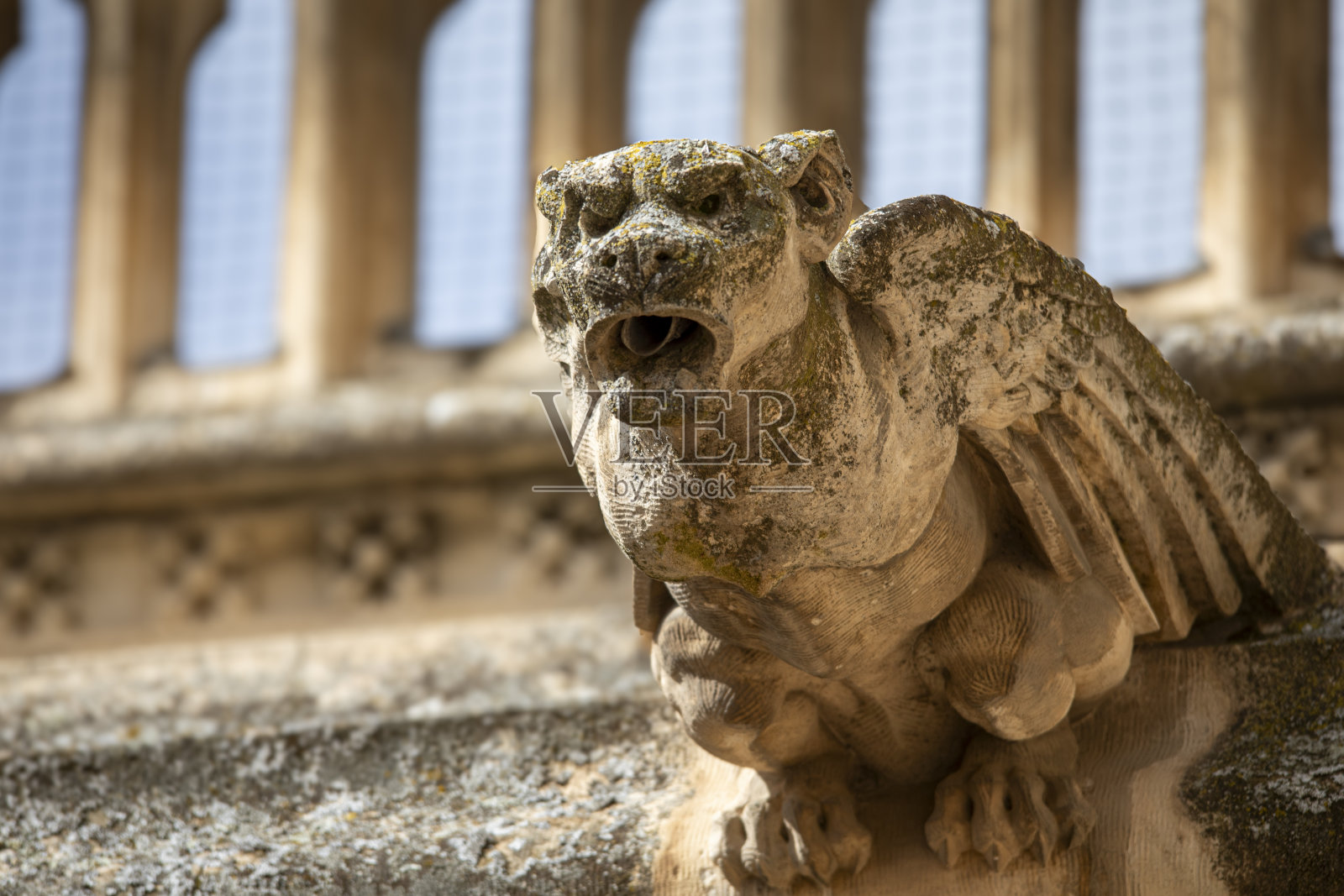 中世纪西班牙回廊里的石像鬼照片摄影图片
