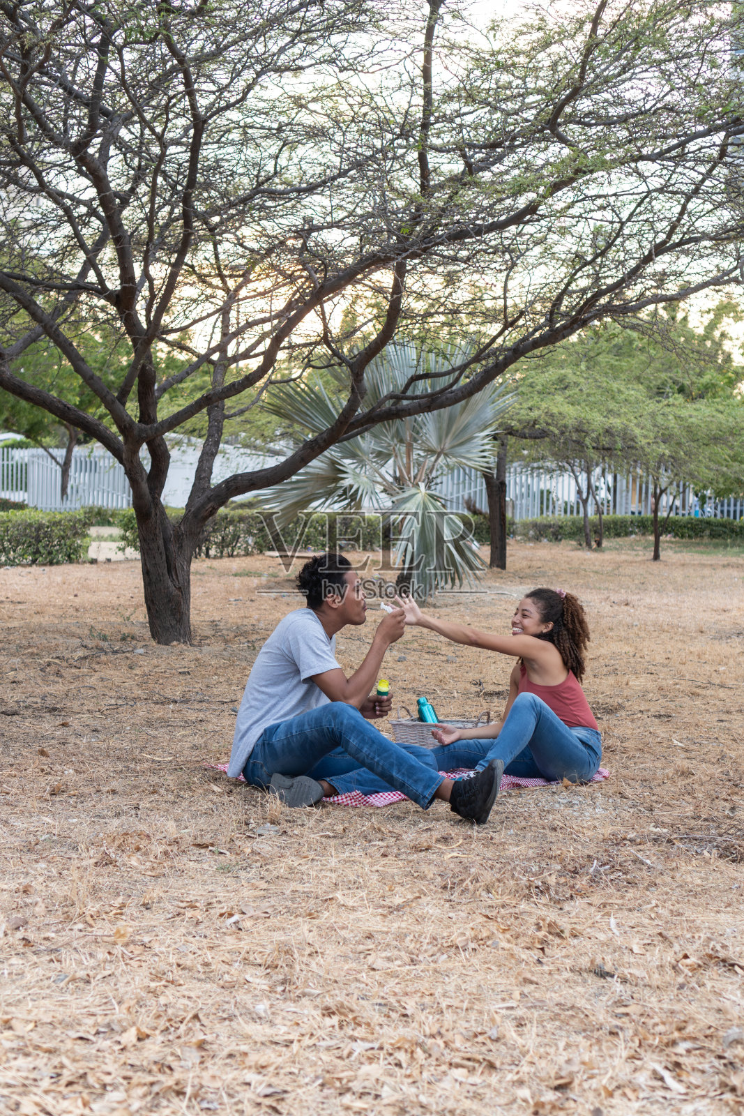 日落野餐与好玩的泡泡照片摄影图片