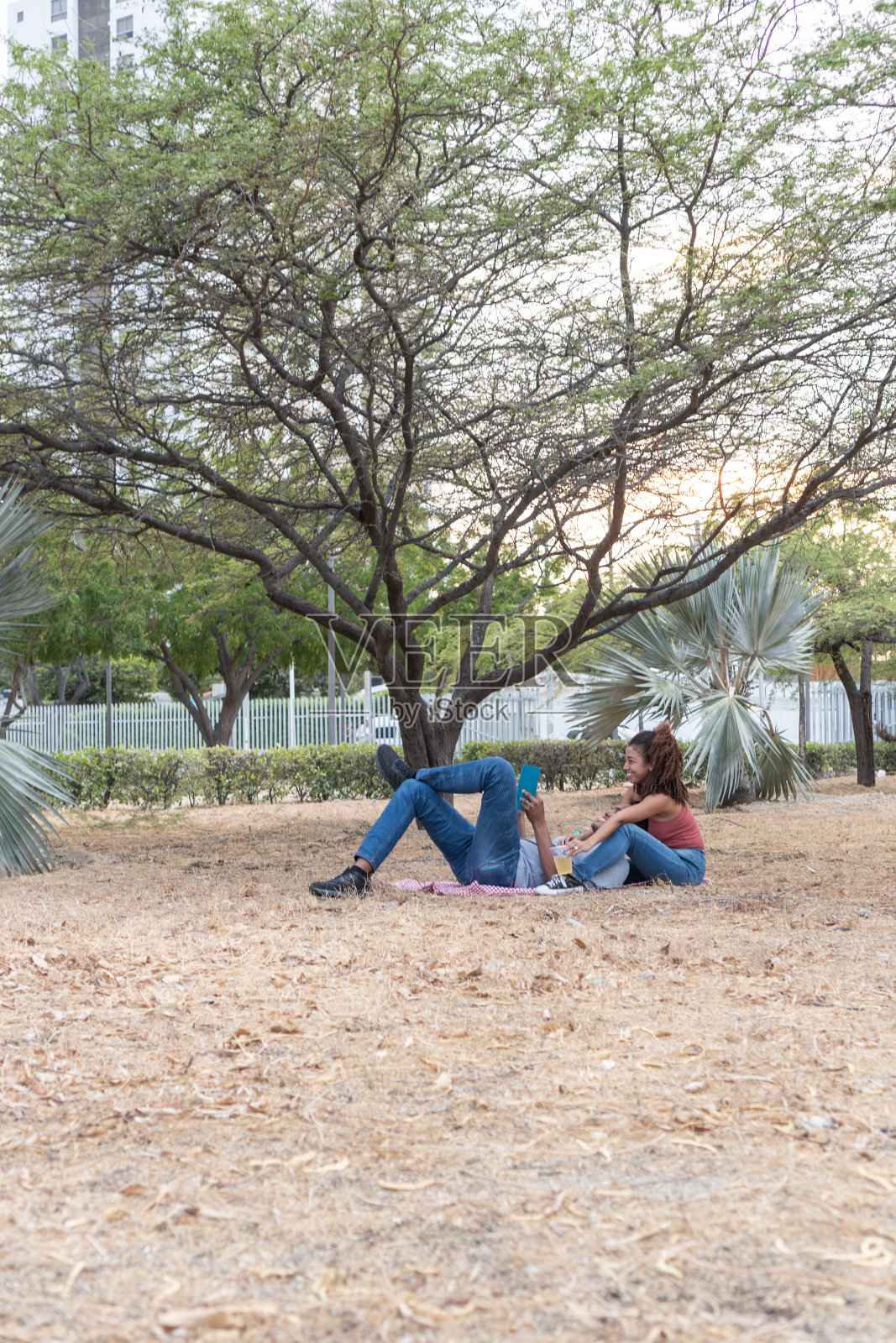 公园里的日落野餐照片摄影图片