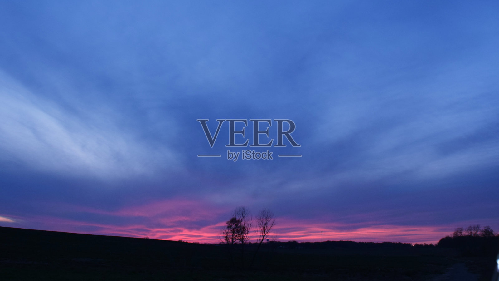 橙色的东西照片摄影图片