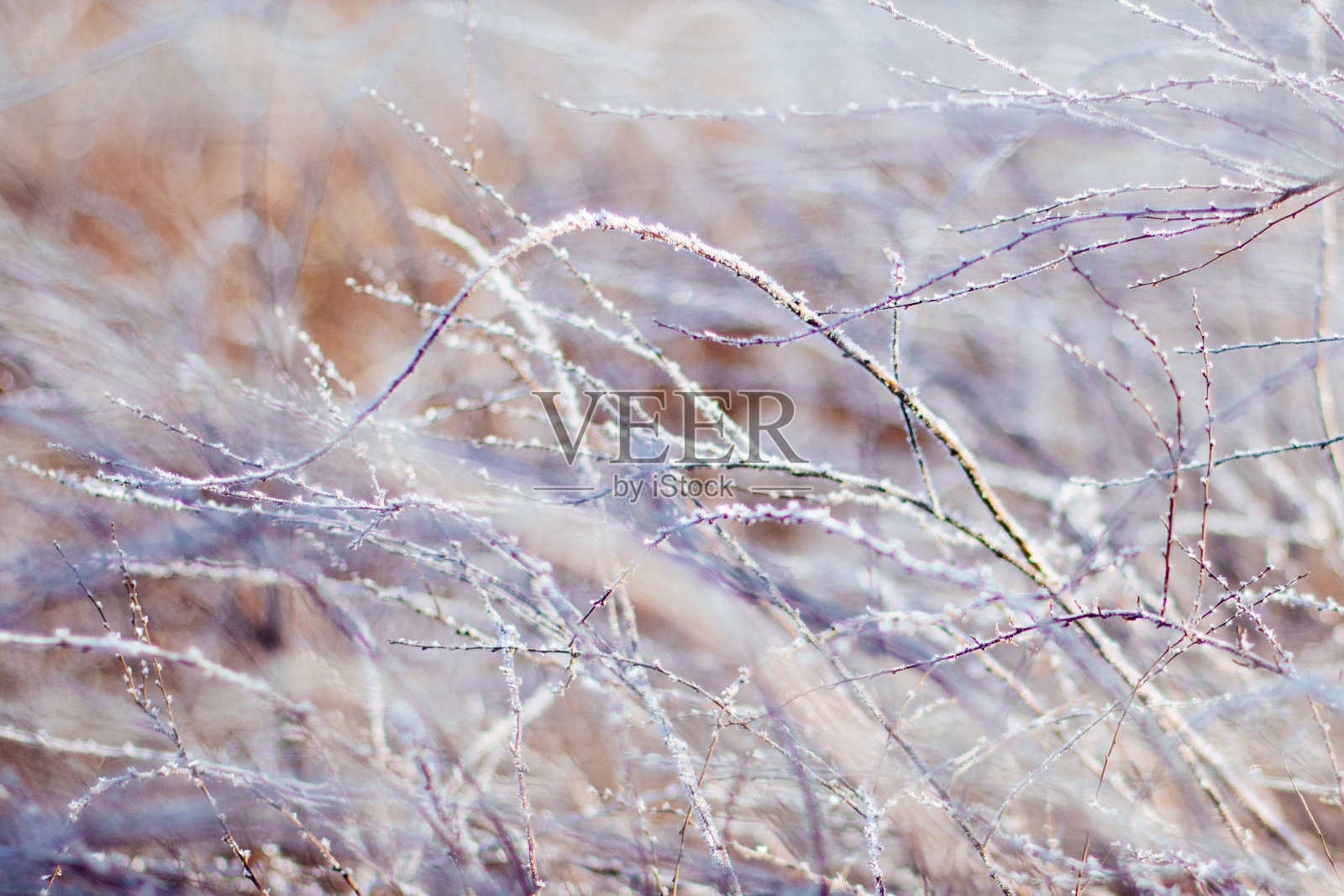 圣诞节的宁静之美照片摄影图片