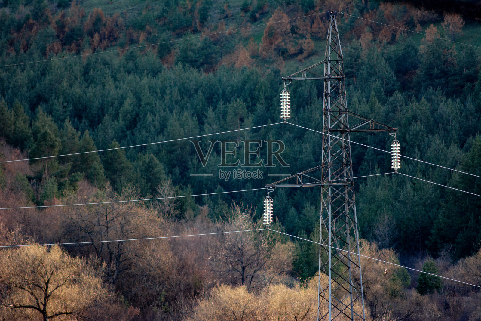 与背景中各种森林覆盖的输电线路接触部分照片摄影图片
