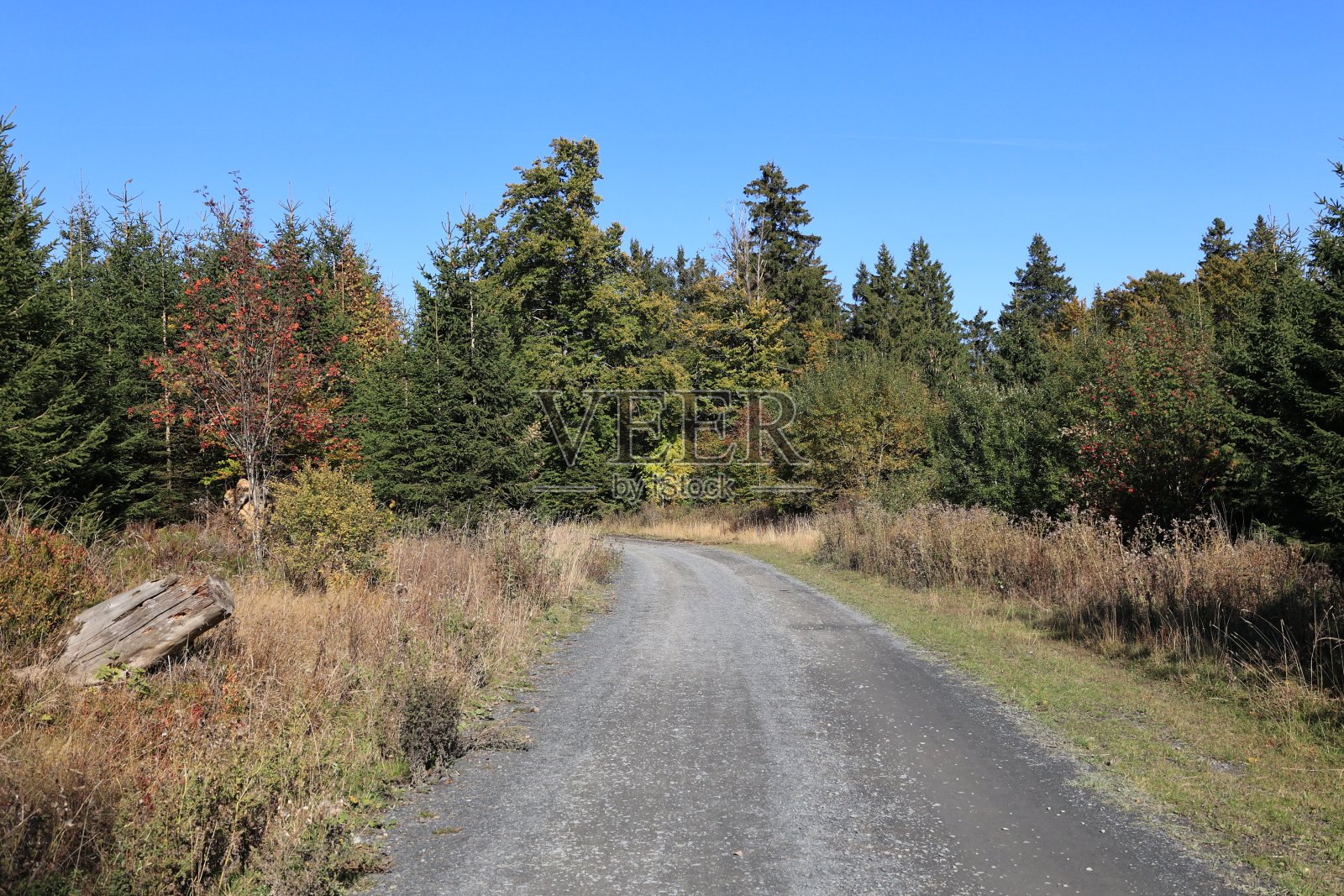 德国的秋天照片摄影图片