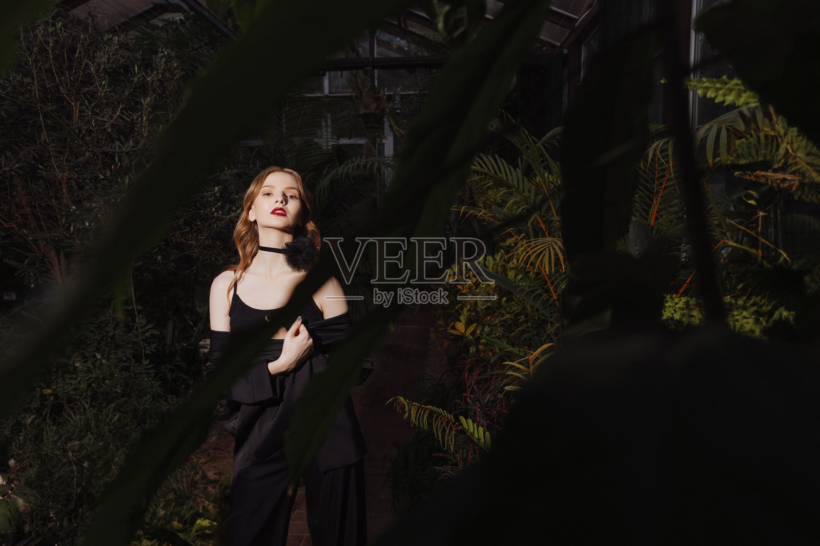 在树叶的背景下，被光源照亮的女模特照片摄影图片