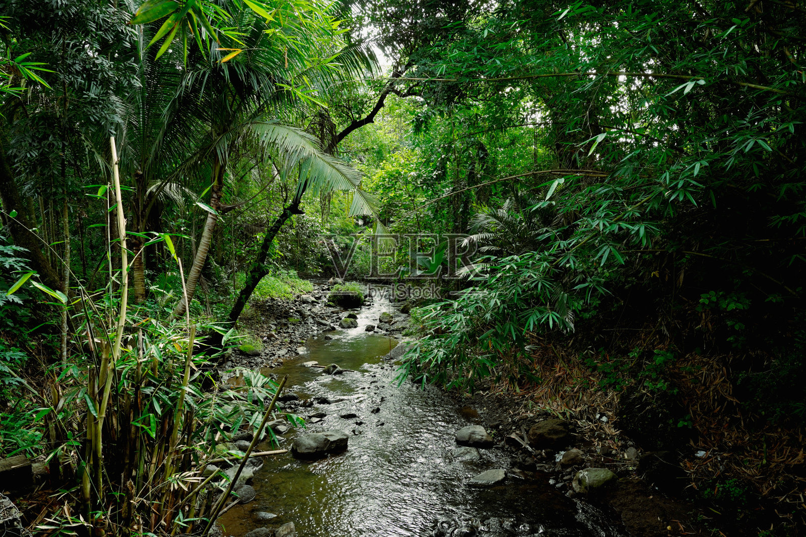 自然背景照片摄影图片