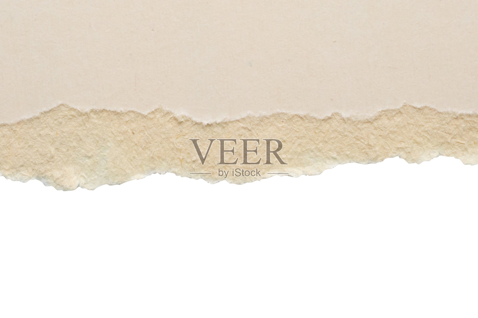 白色撕开的纸撕裂的边缘条孤立在白色的背景照片摄影图片